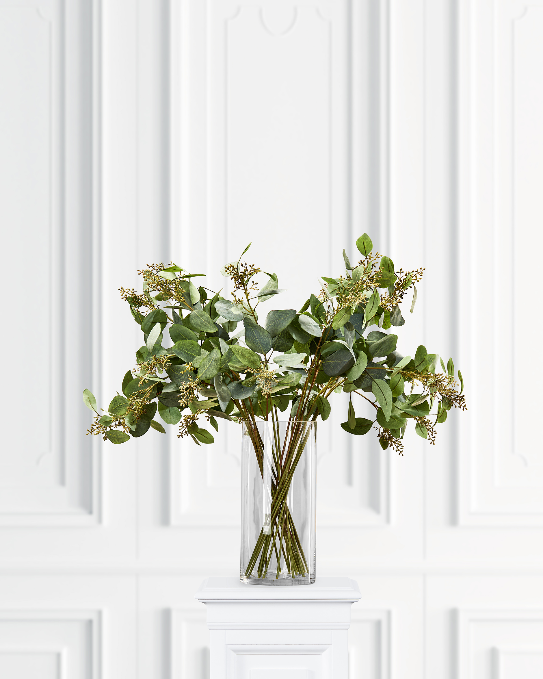 Eucalyptus snijbloem