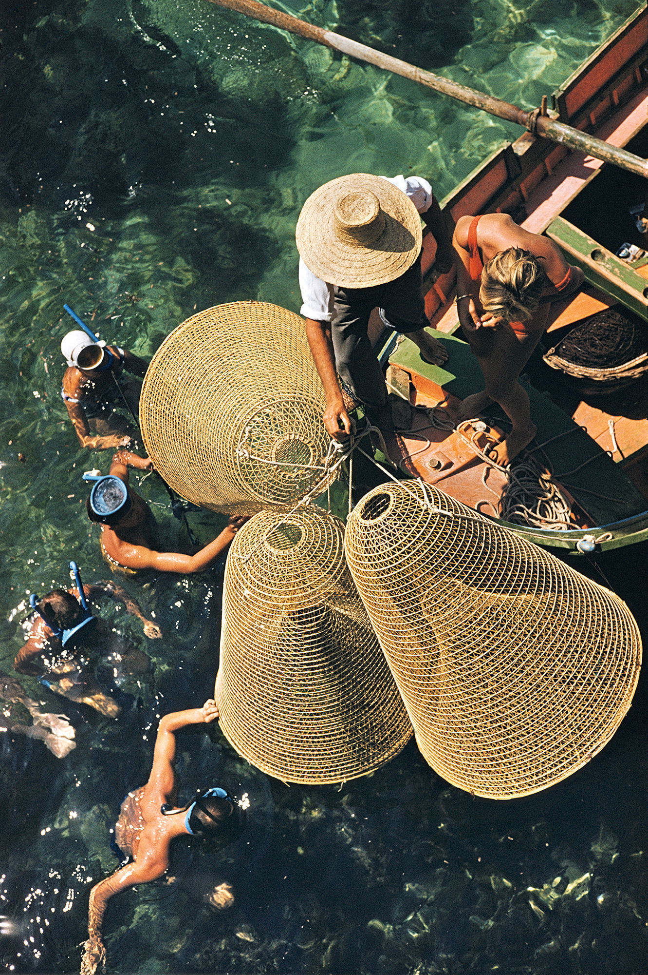 Snorkelling In The Shallows