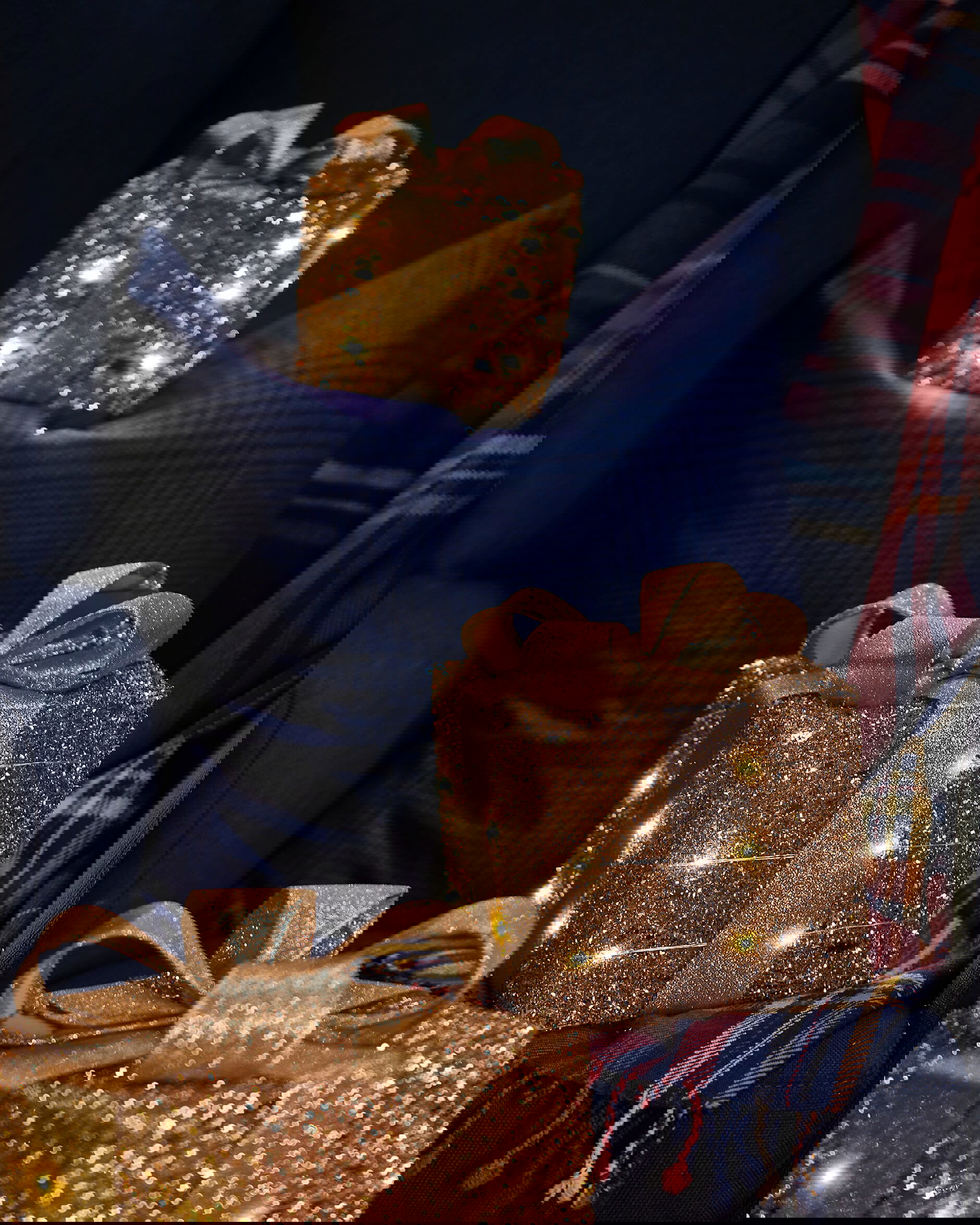 Trevor Paket LED Weihnachtsdekoration Champagner