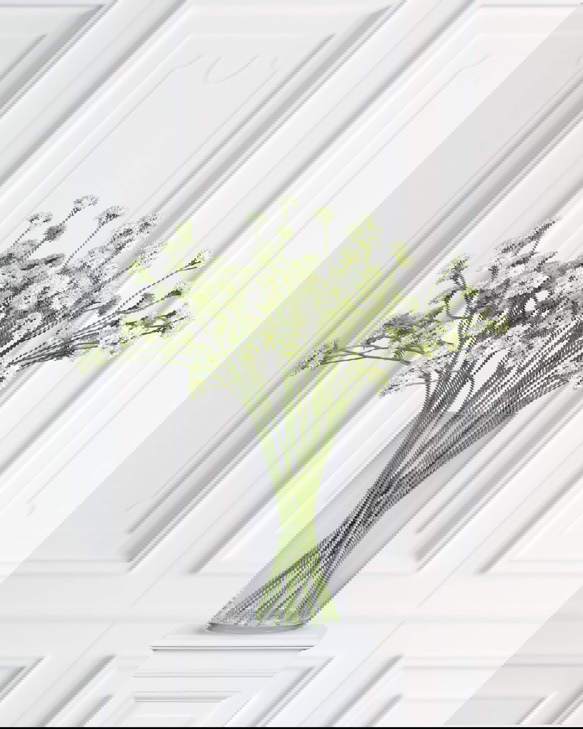 Blomkvist snittblomma vit