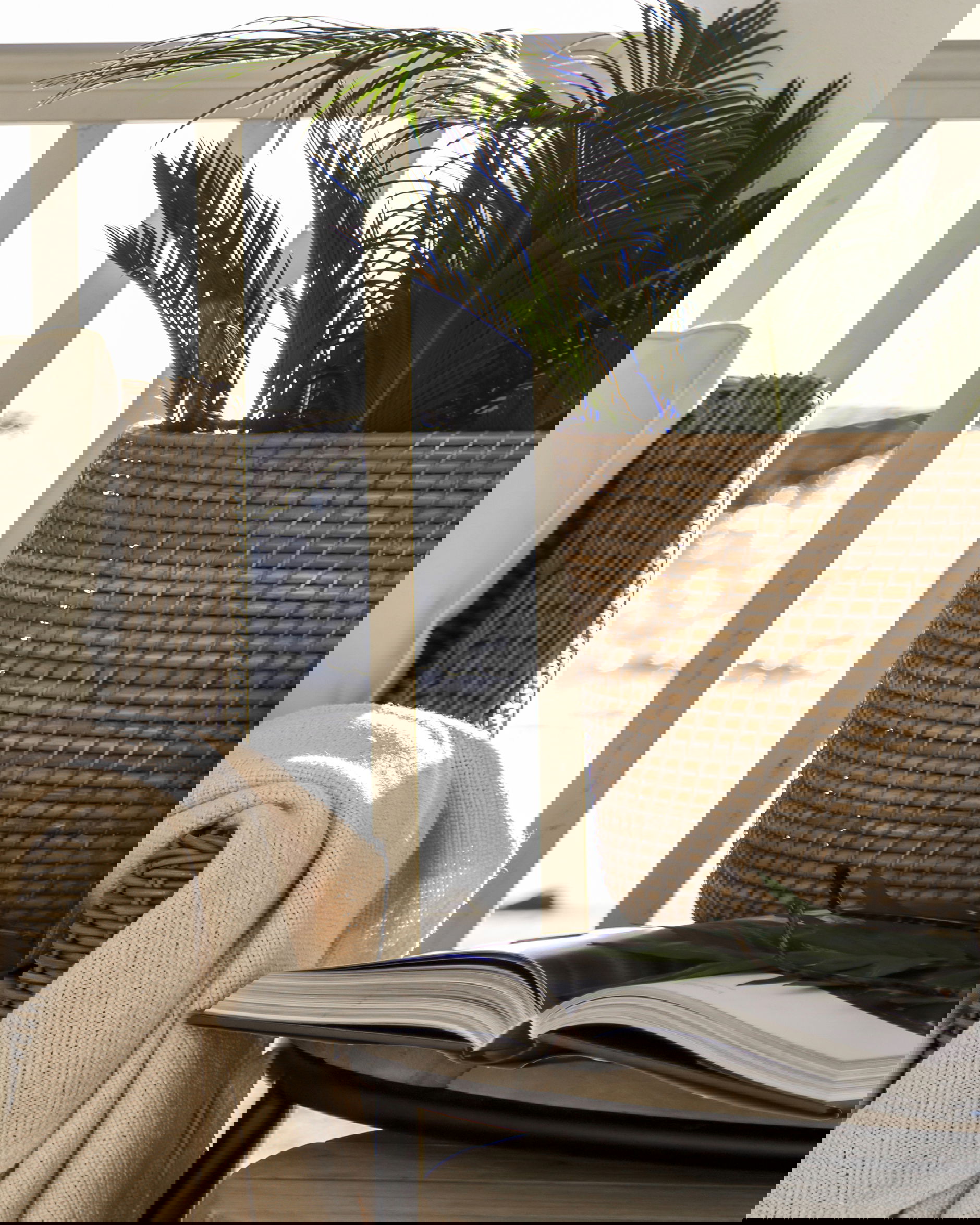 Amazon korg natur 2-pack