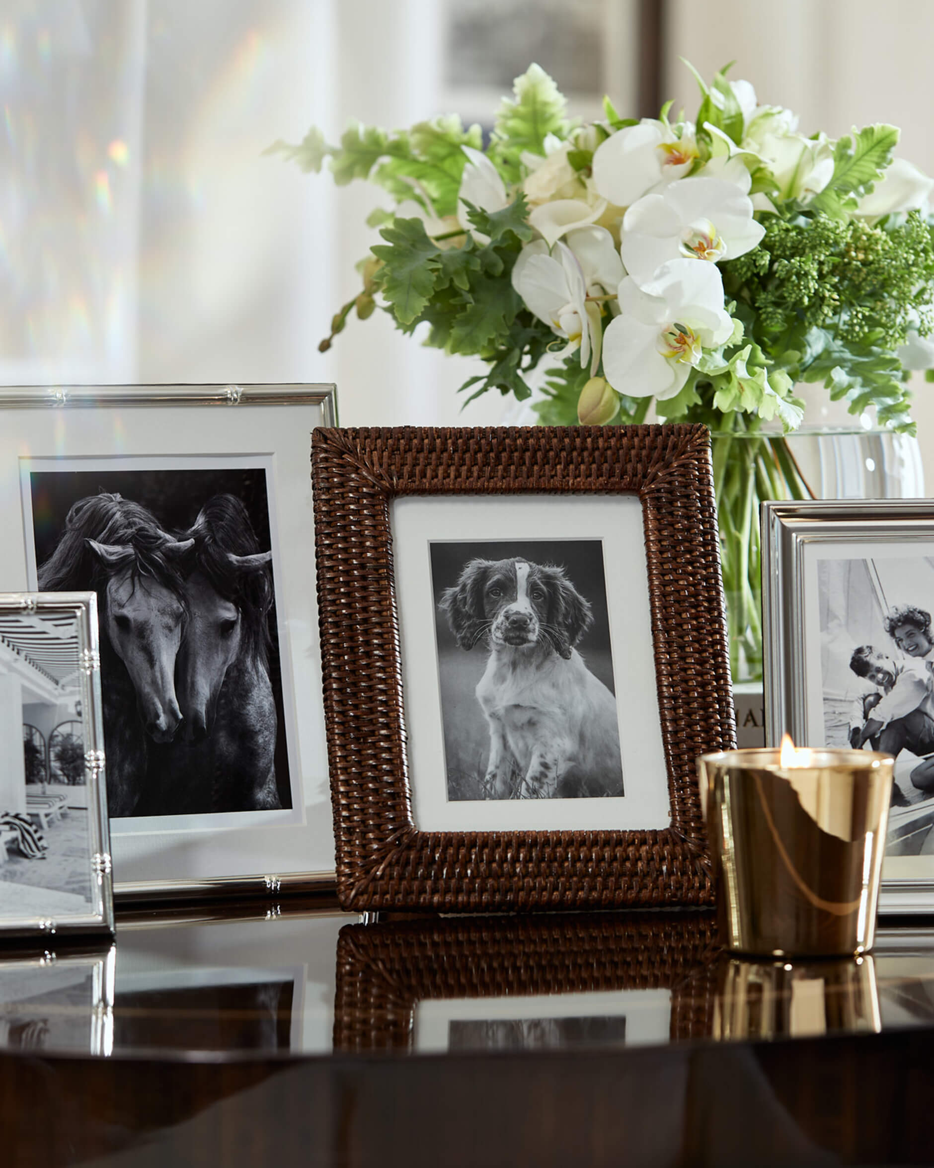 Cognac fotoram rotting