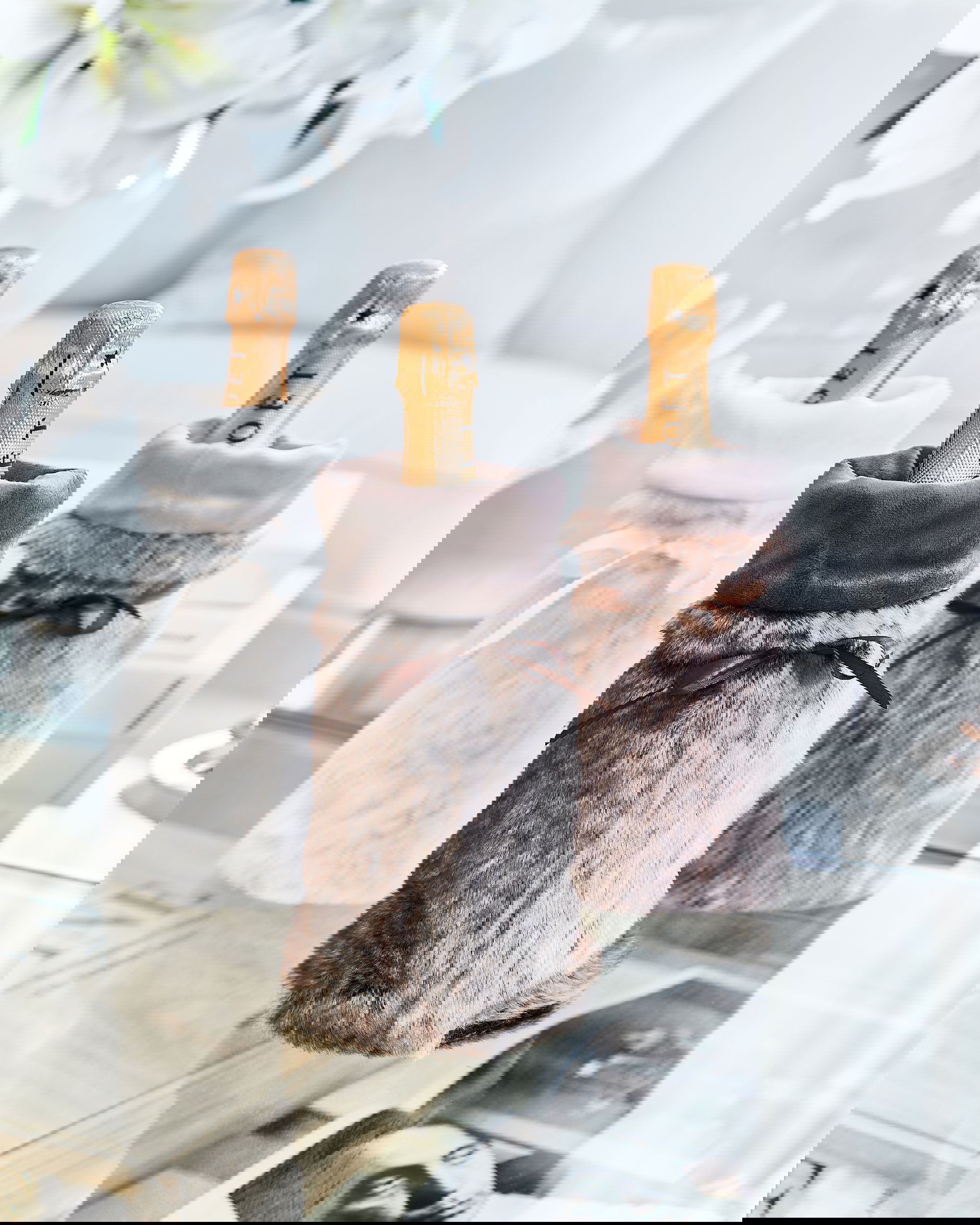 Whistler Wine Holder Brown Bear