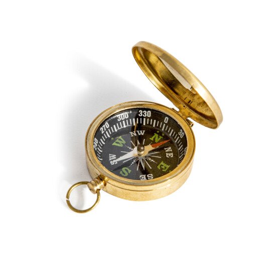 Goud - Small Compass, Bronzed