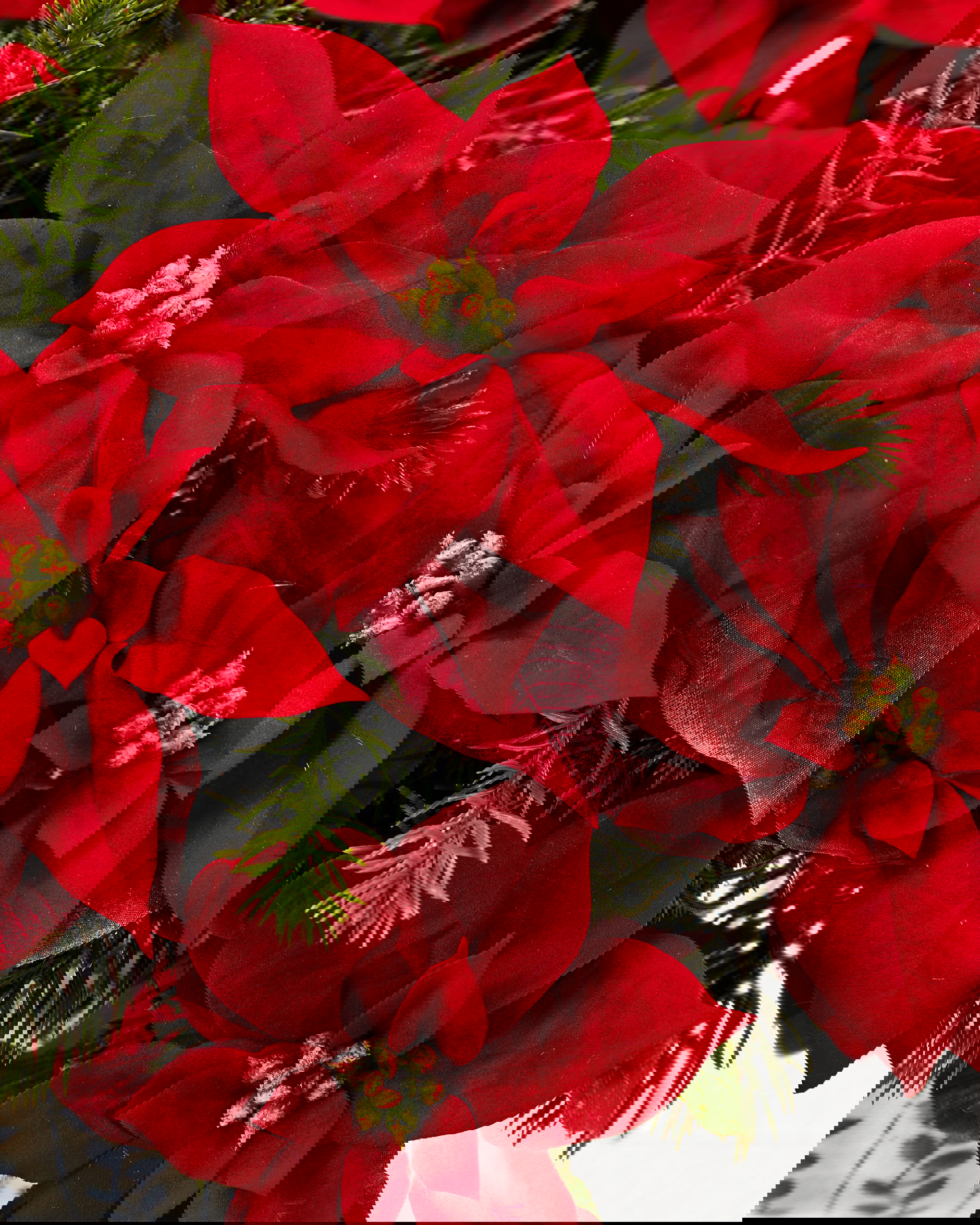 Joulutähti tekokasvi klipsillä punainen