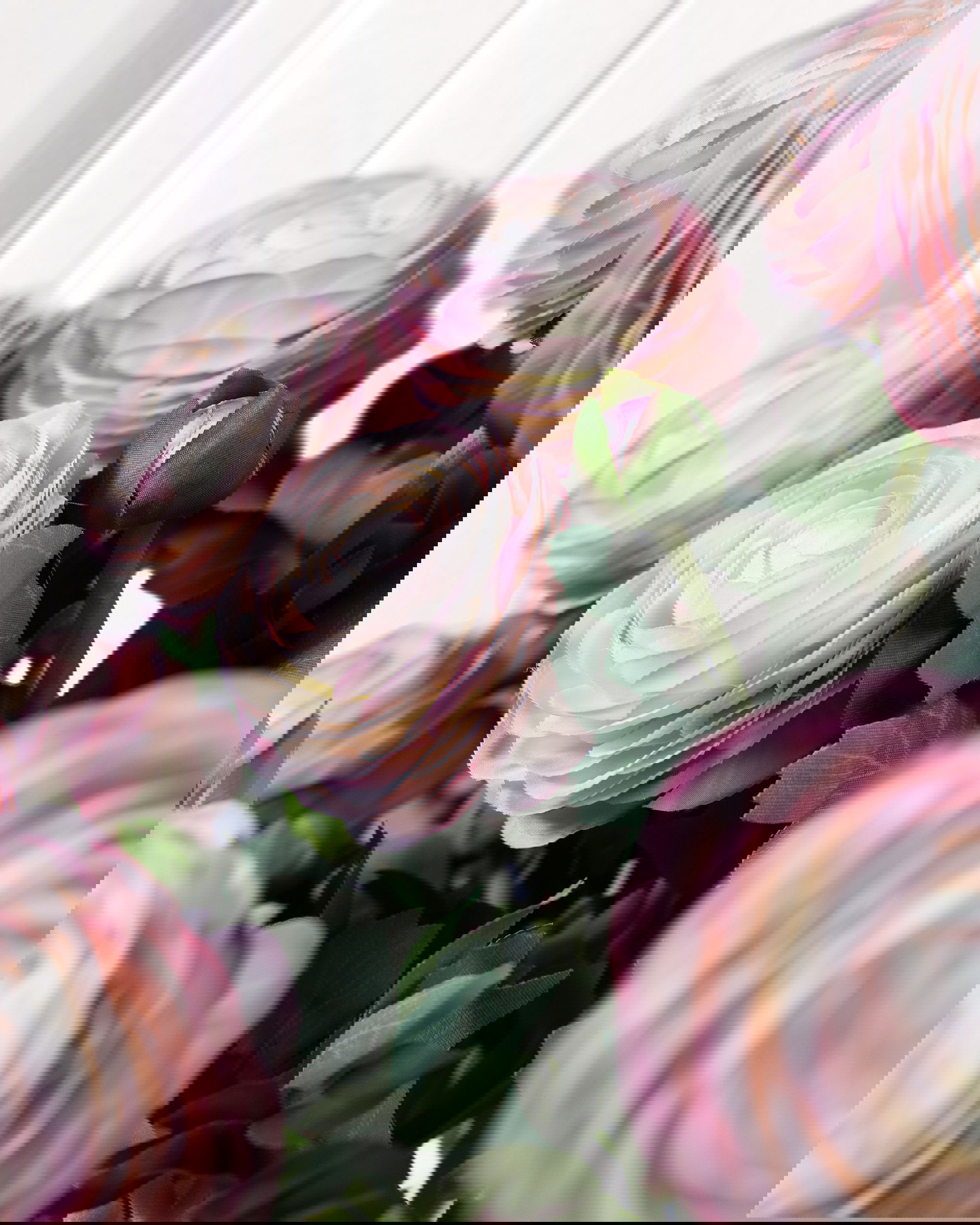 Ranunkeli leikkokukka vaaleanpunainen