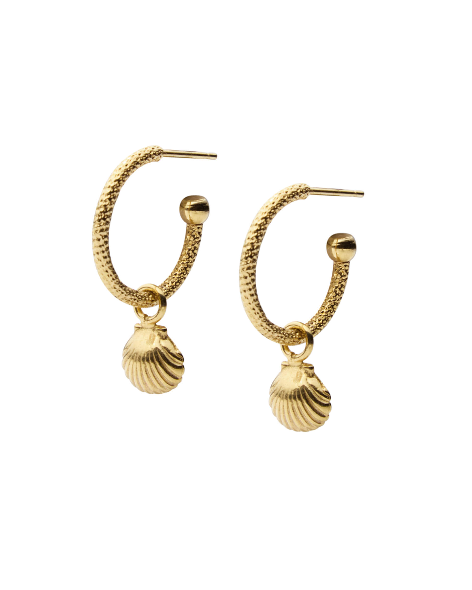 Shell loops örhängen guld