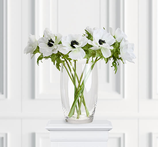 Anemone Cut Flower White