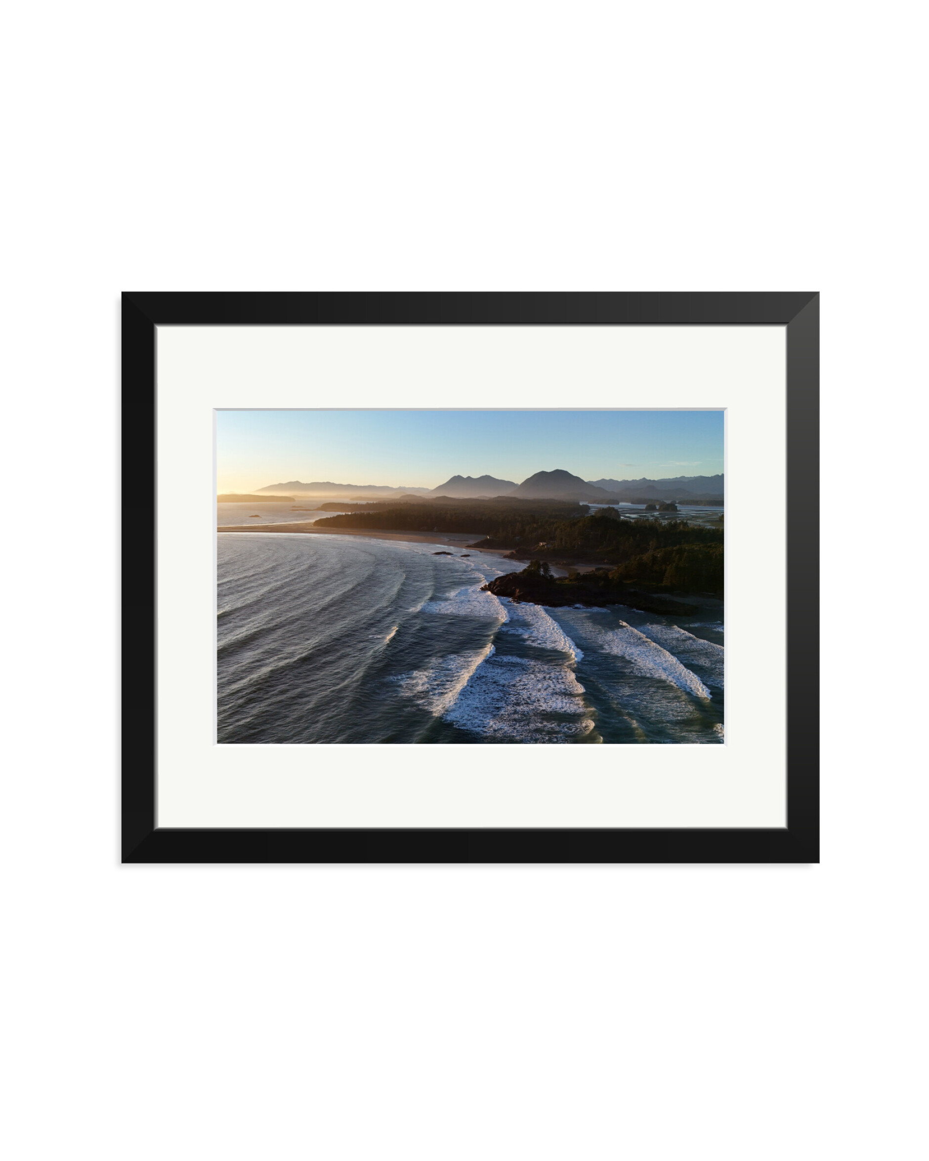Pacific Swell Black / Medium