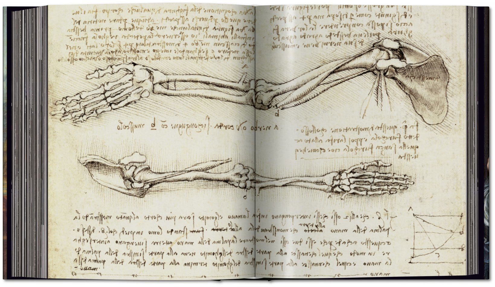 Leonardo - The Complete Paintings and Drawings