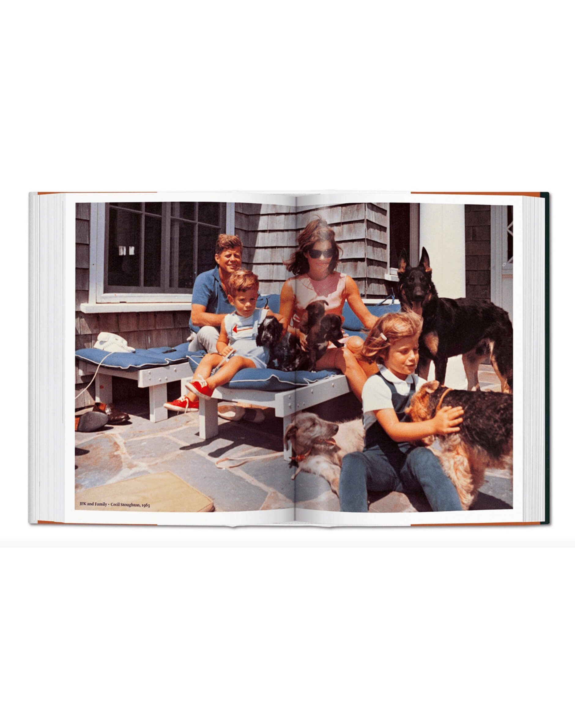 The Dog In Photography