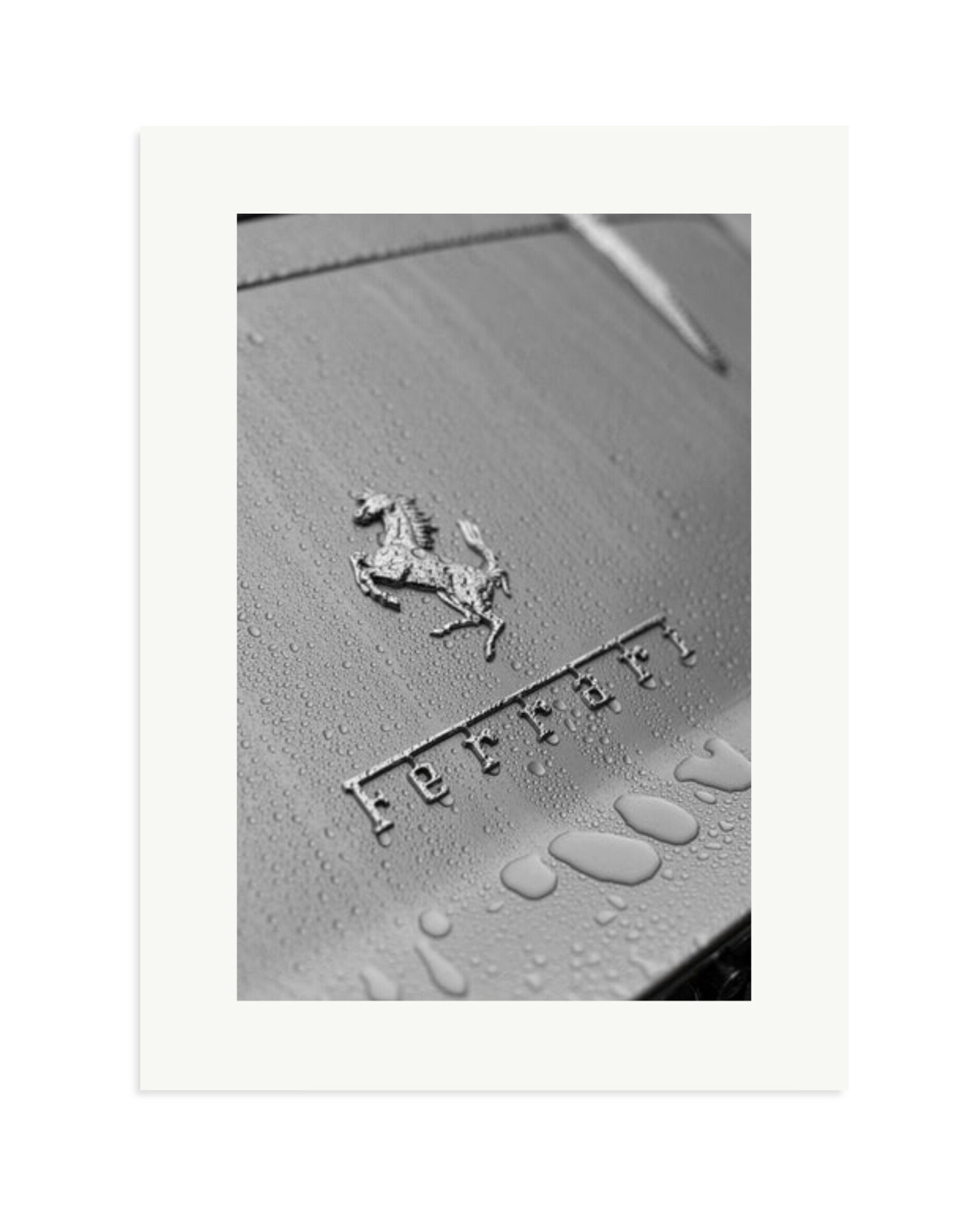 1965 Ferrari 275GTB Print Only / XL