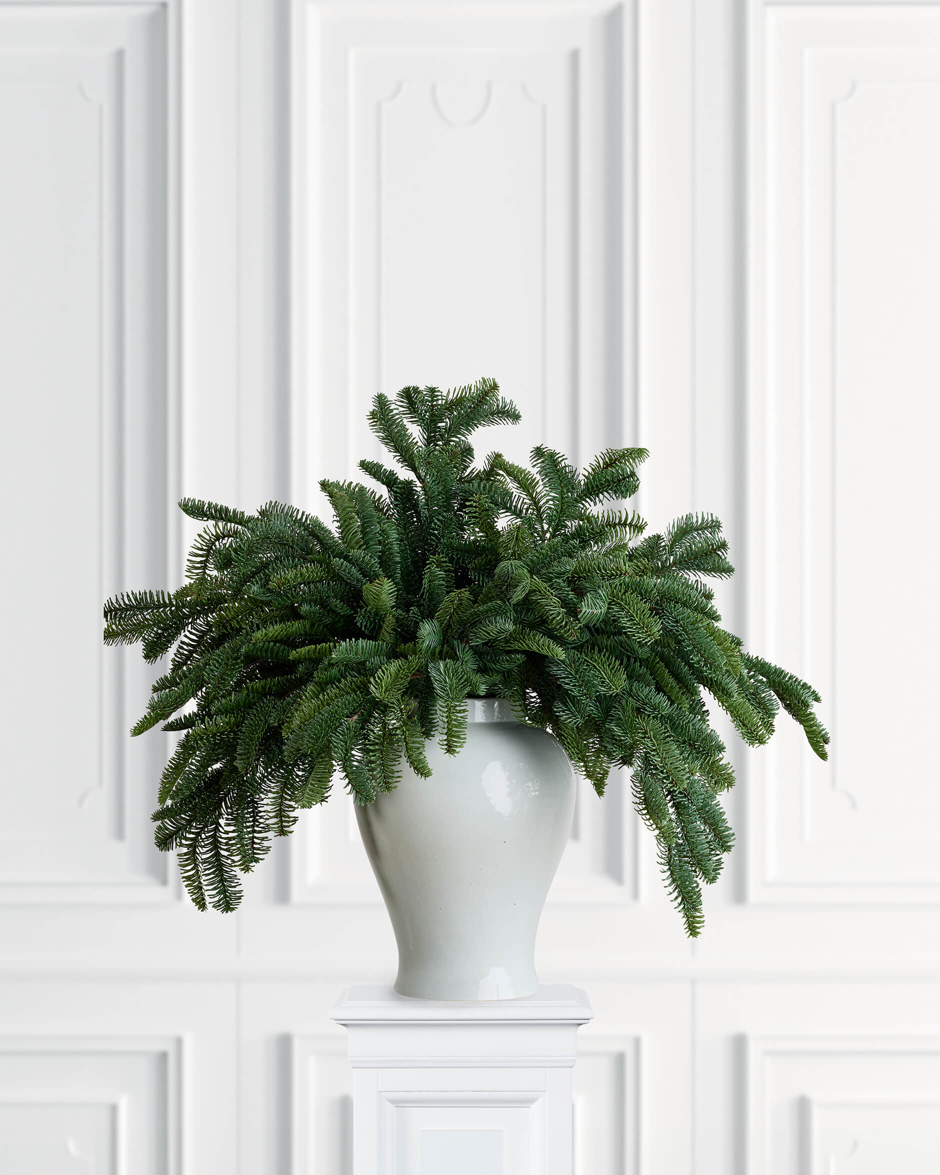 Walter-kuusenoksa vihreä