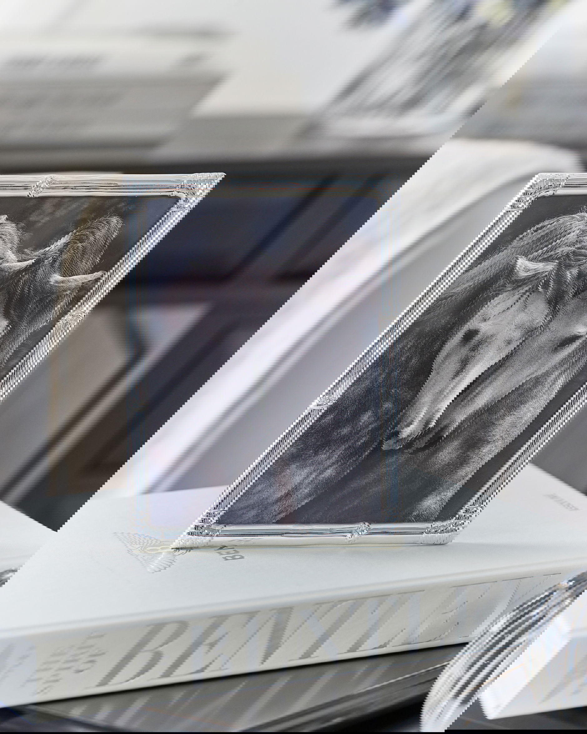 Garner fotoram silver