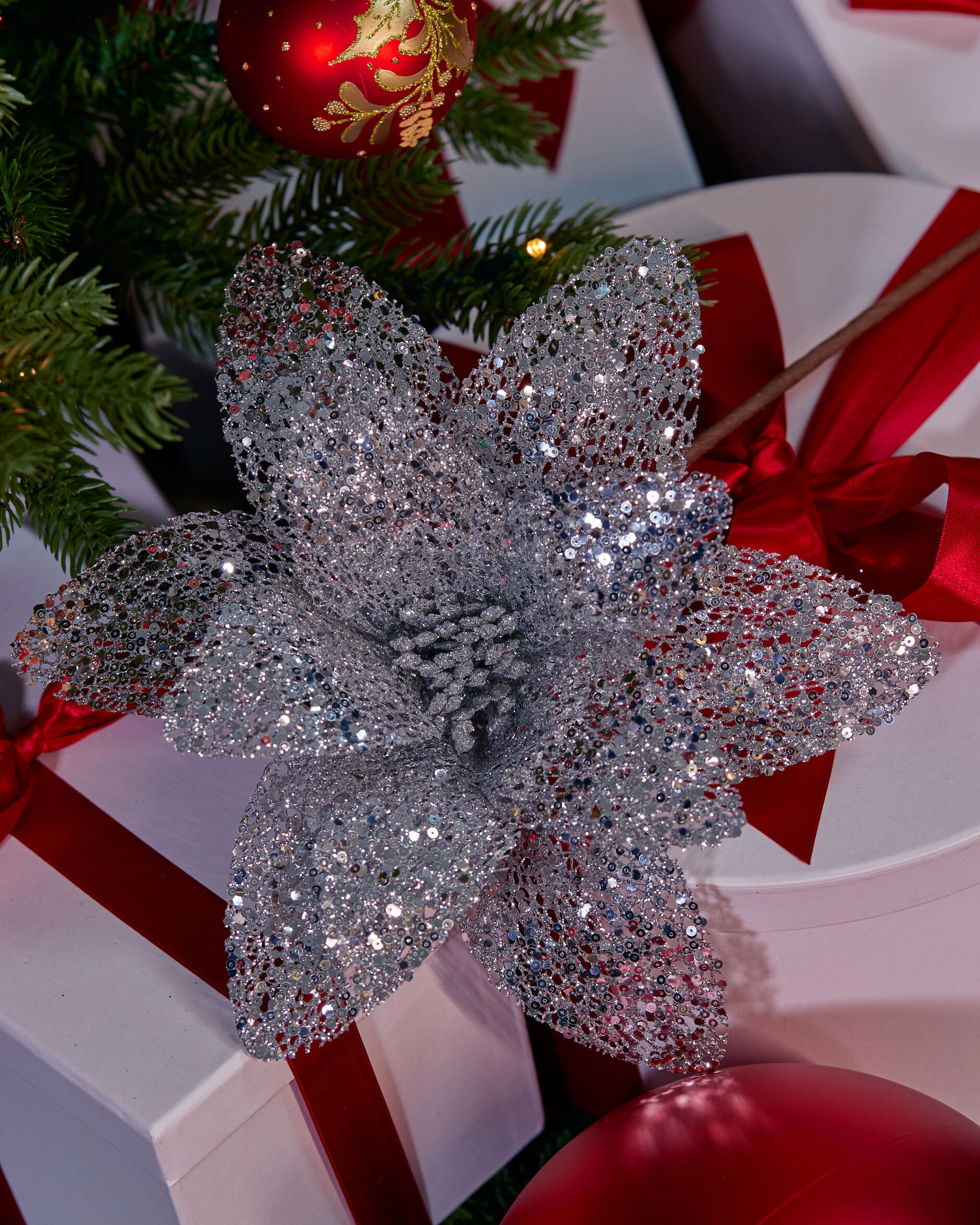 Malcolm Silver Branch