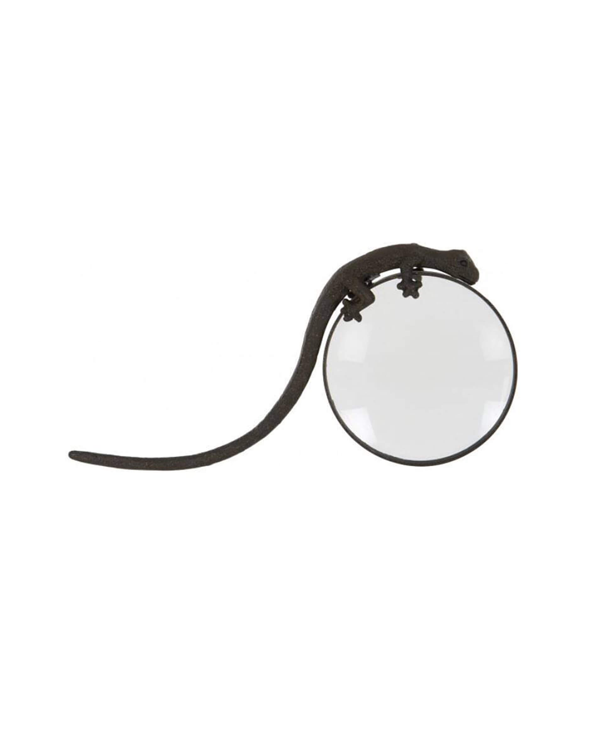 Gecko magnifying glass