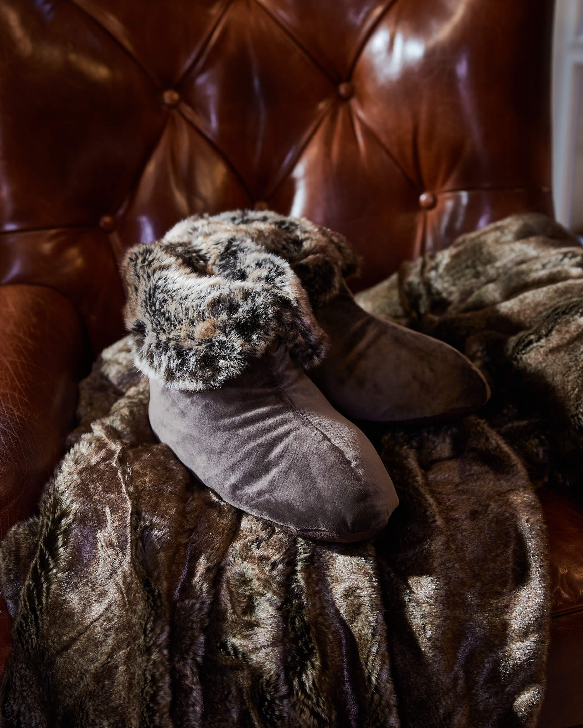 Aspen tofflor brown bear