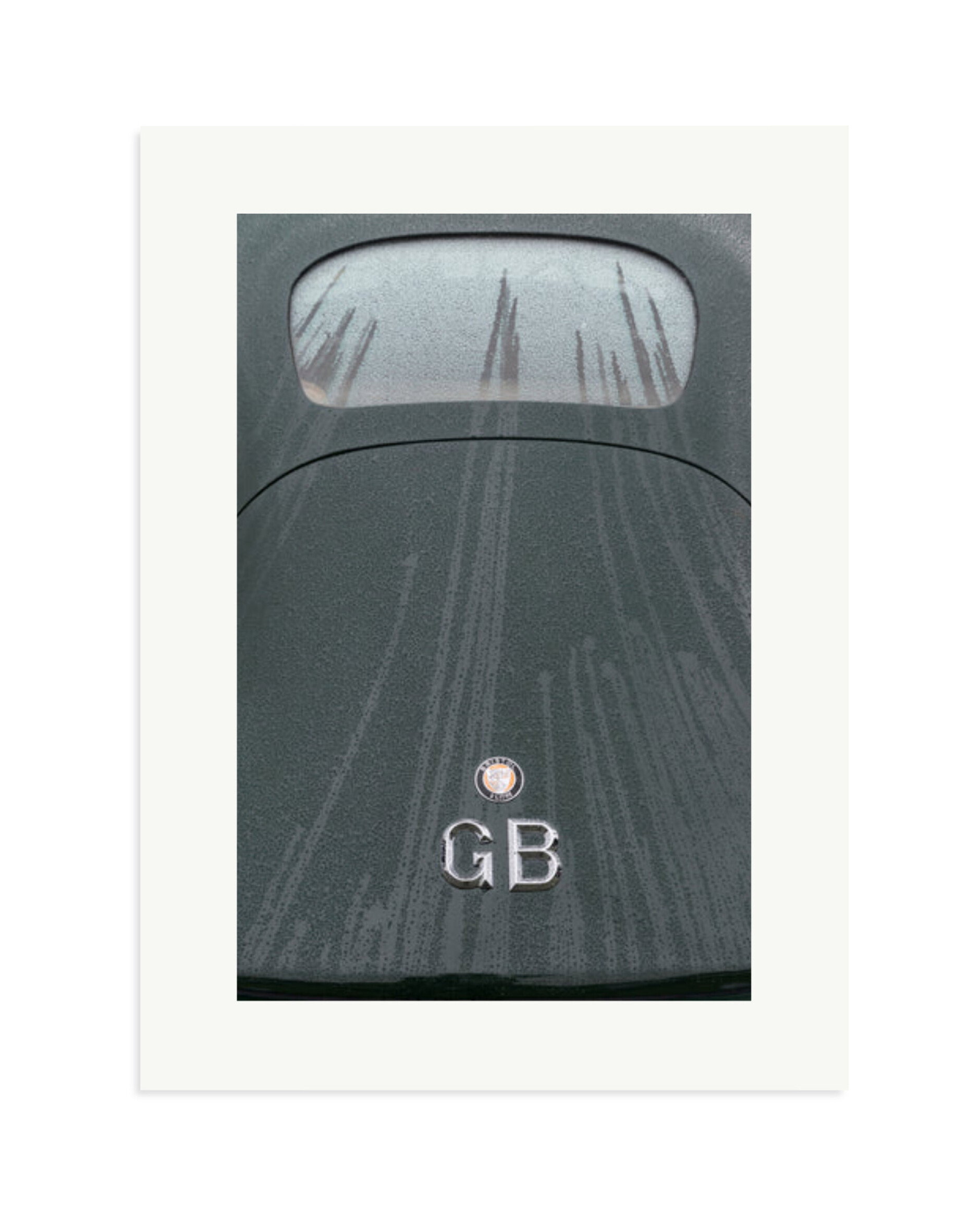 1950 Bristol 401 Print Only / XL