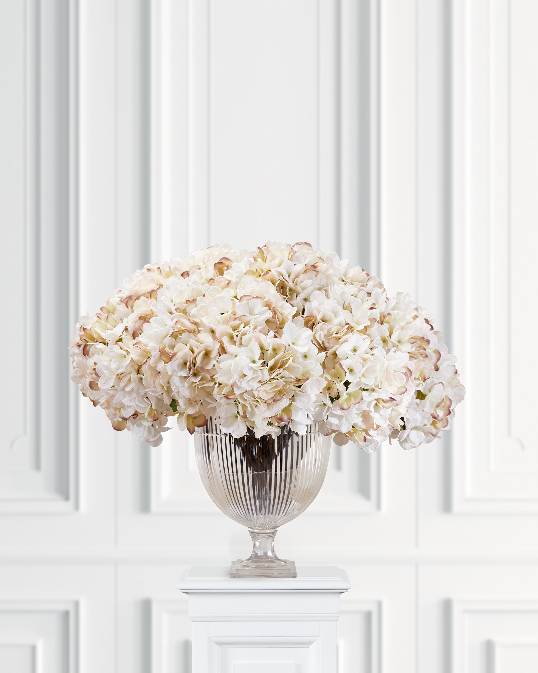 Hortensia leikkokukka kerma
