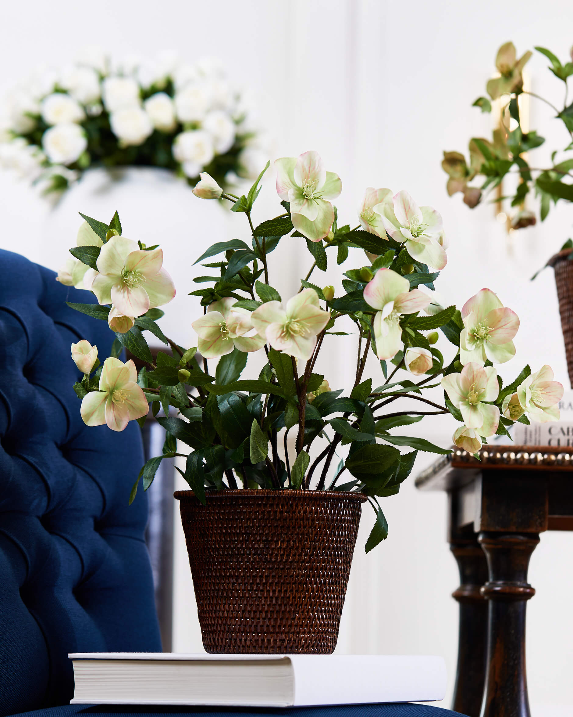 Julros konstväxt vit