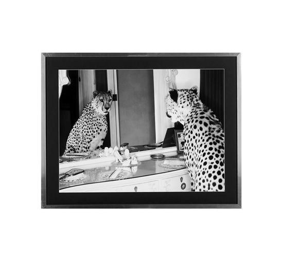 Cheetah looking in mirror
