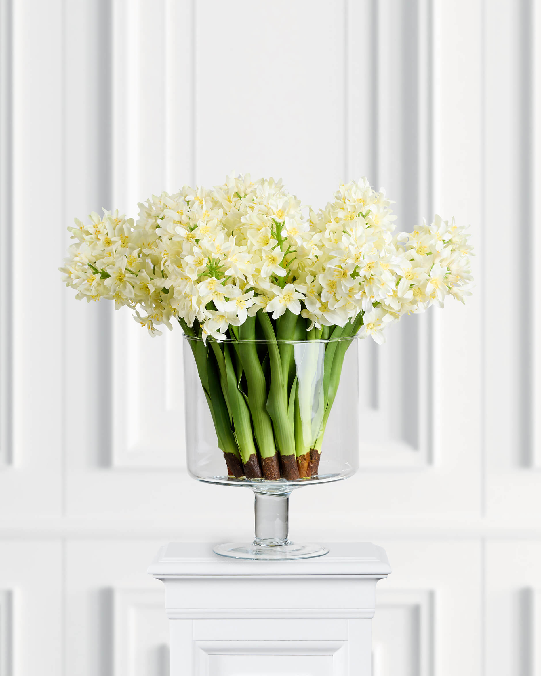 Hyacint snittblomma vit