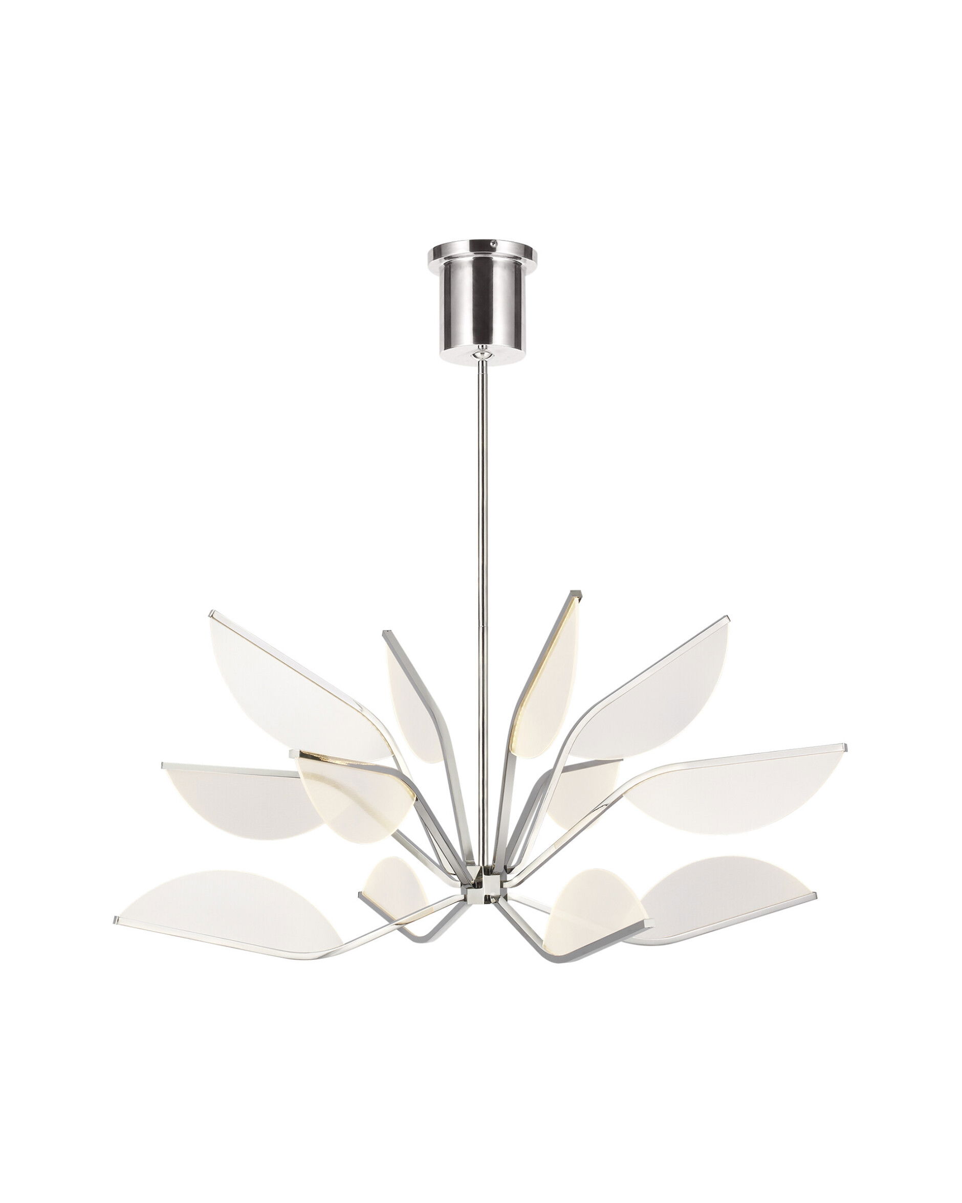 Belterra 38 takkrona nickel