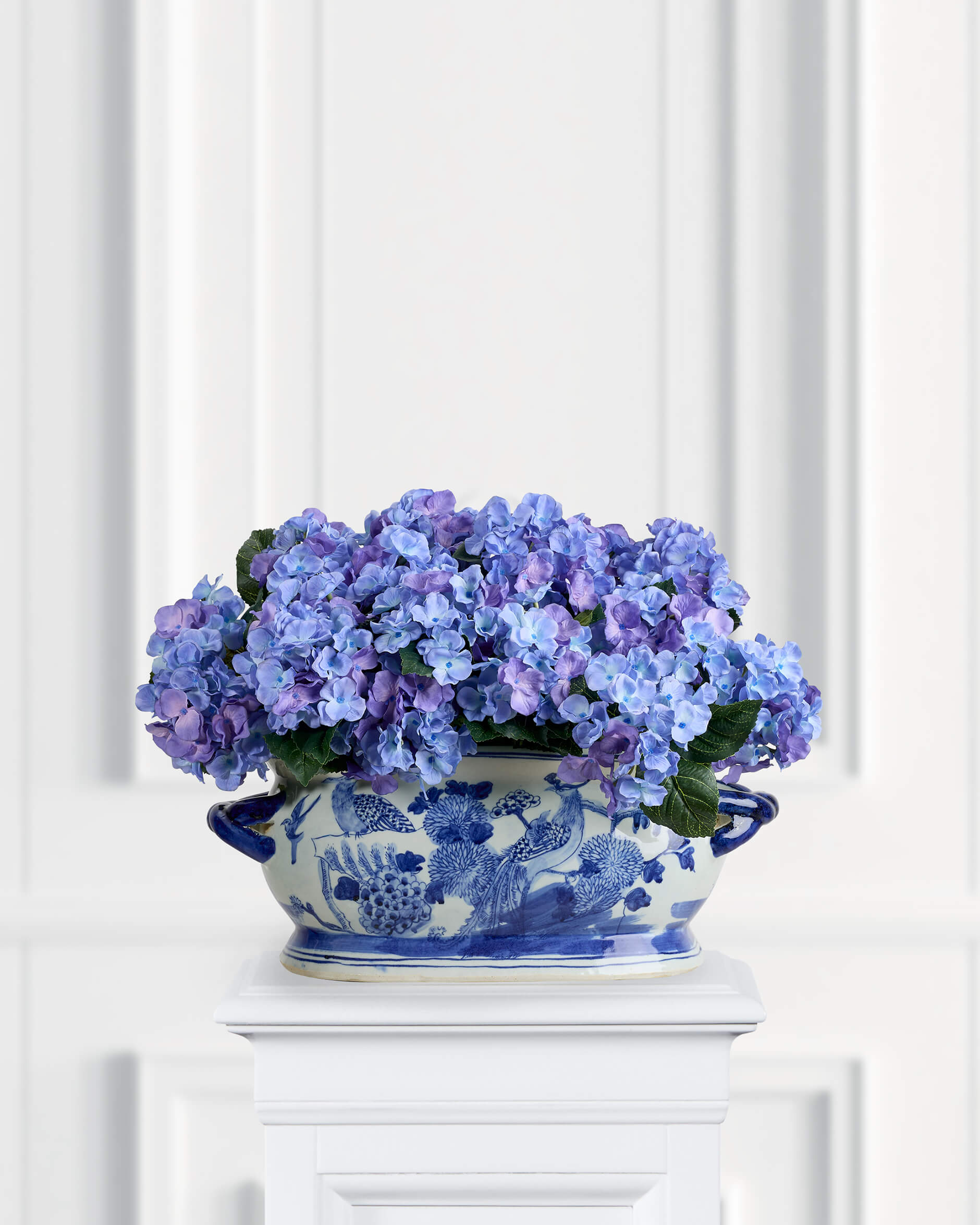 Alternativ bild 1 för Hortensia krukväxt blå