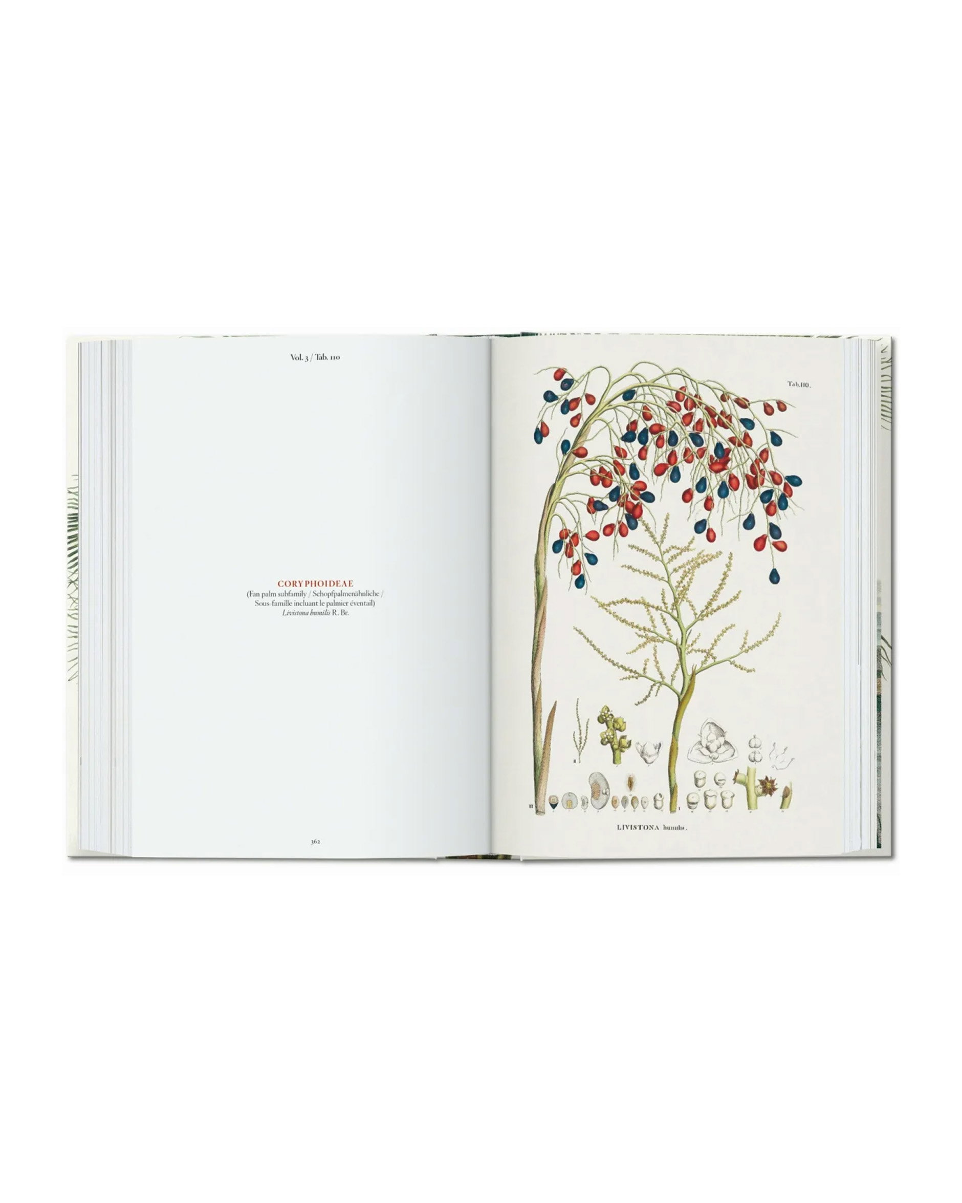 The Book of Palms. 45th Edt.