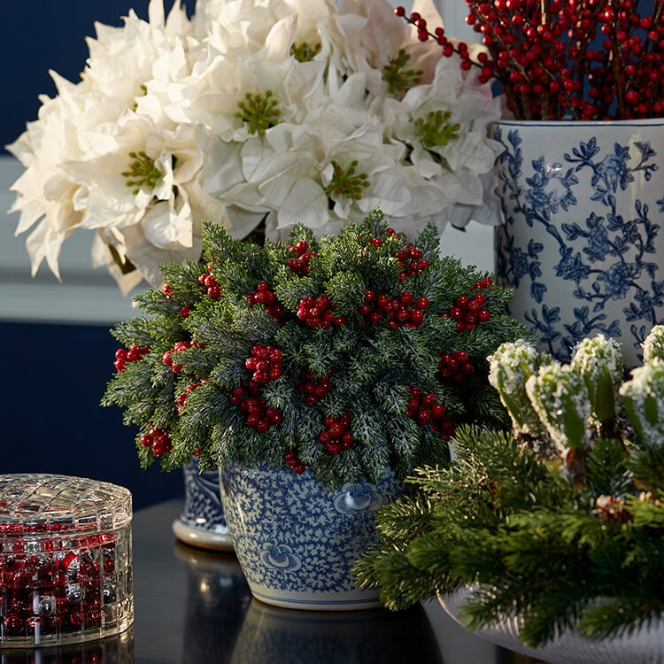 Christmas Flowers