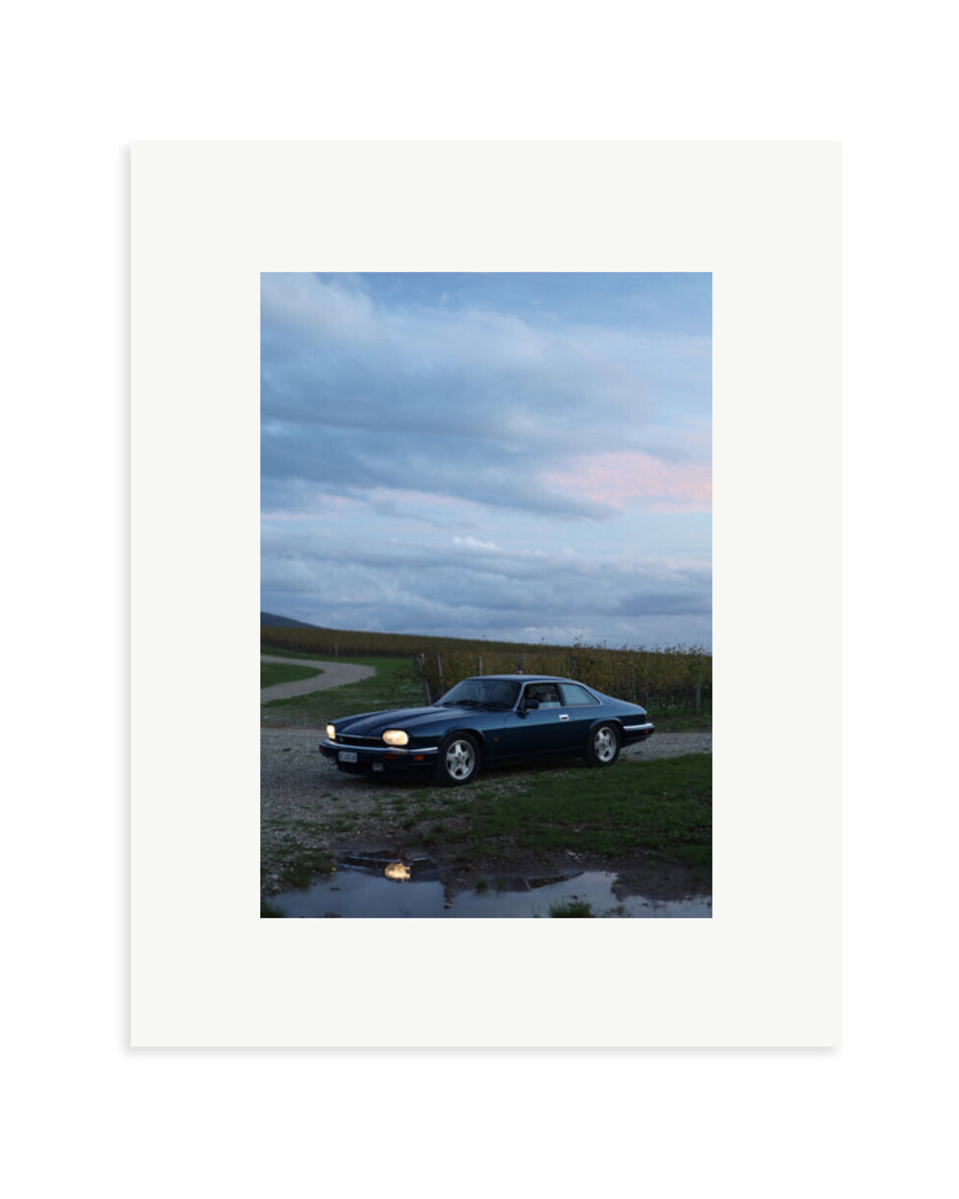 Jaguar XJS Print Only / Small
