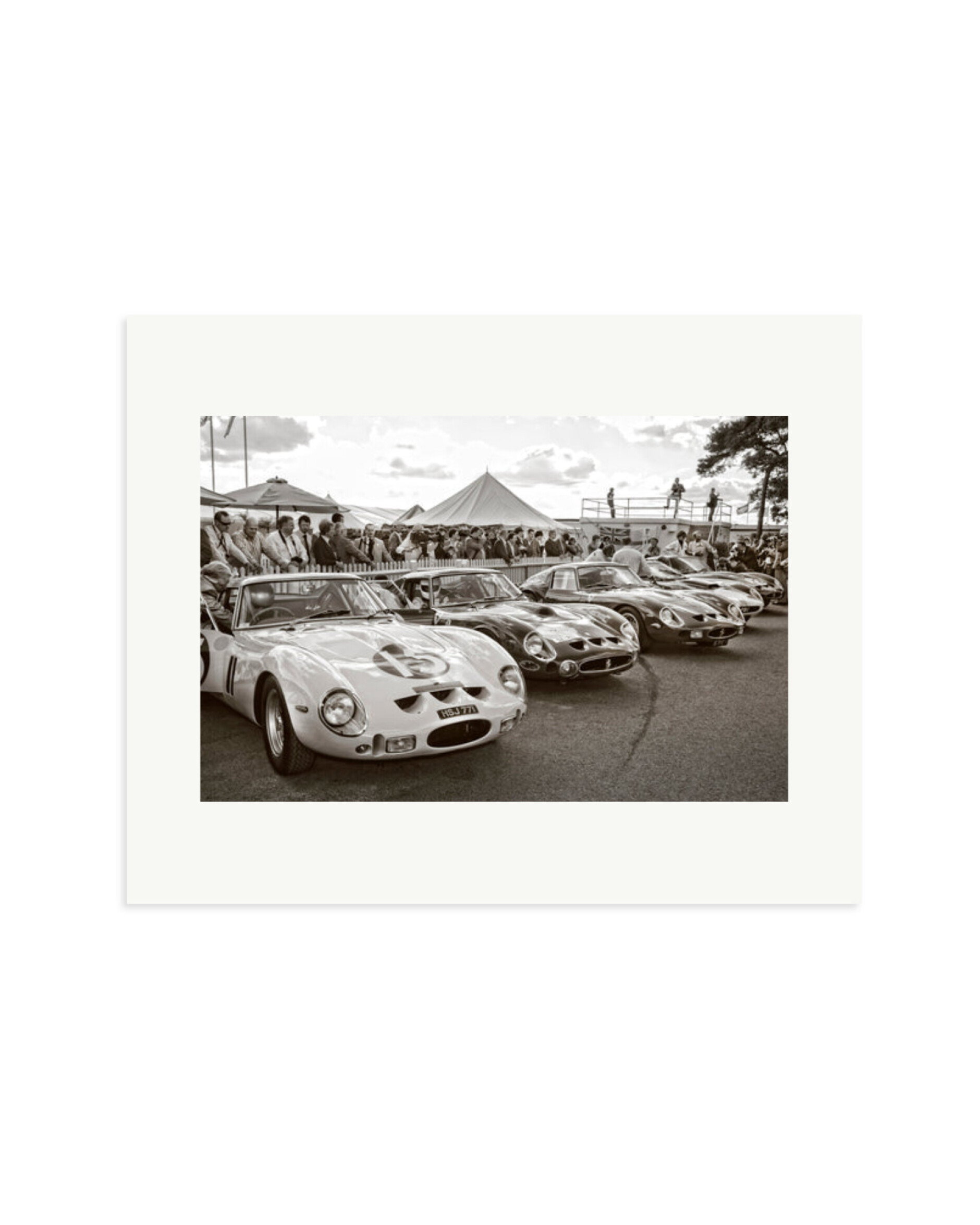 Goodwood Revival Ferarri 250 GTO's Print Only / Medium
