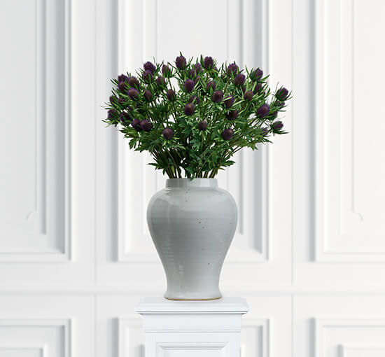 null - Thistle Cut Flower Green