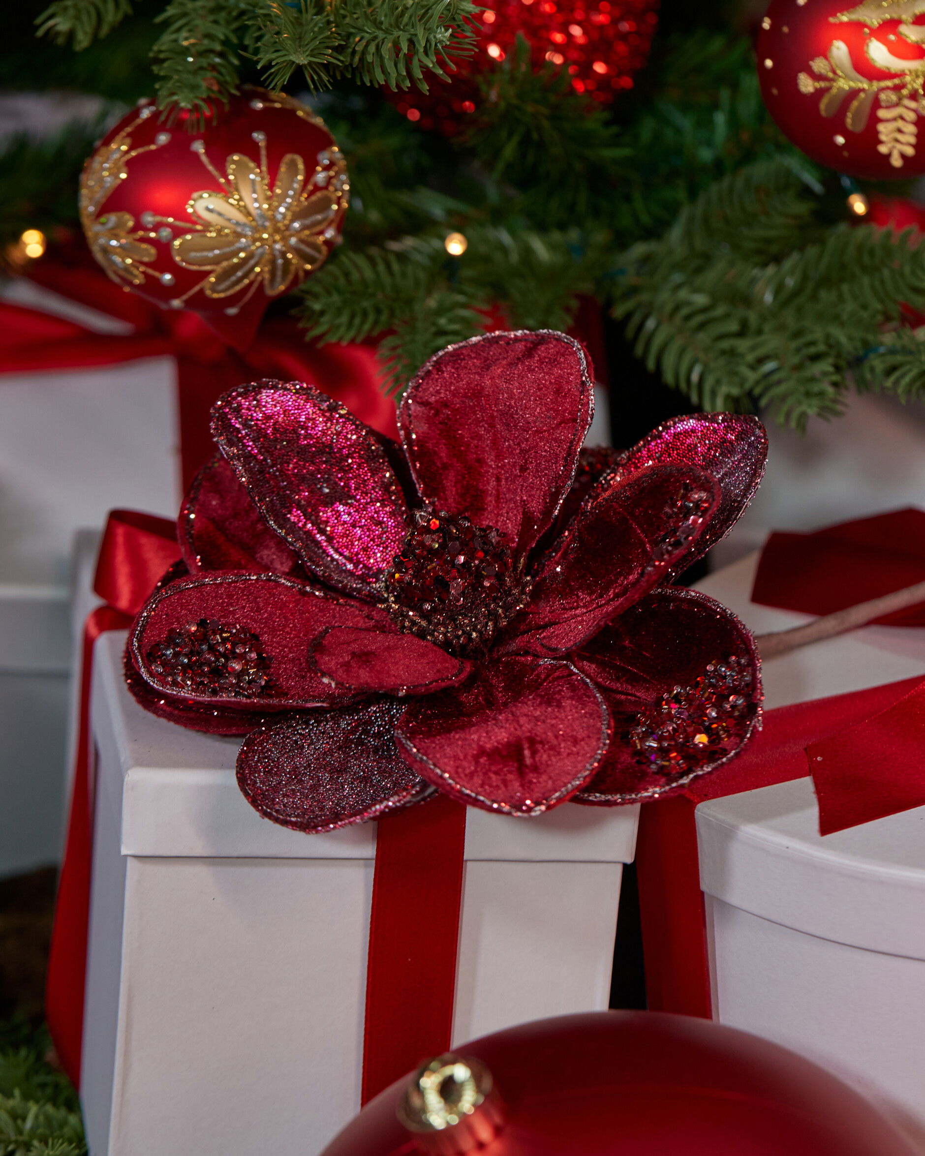 Magnolia koristeoksa viininpunainen