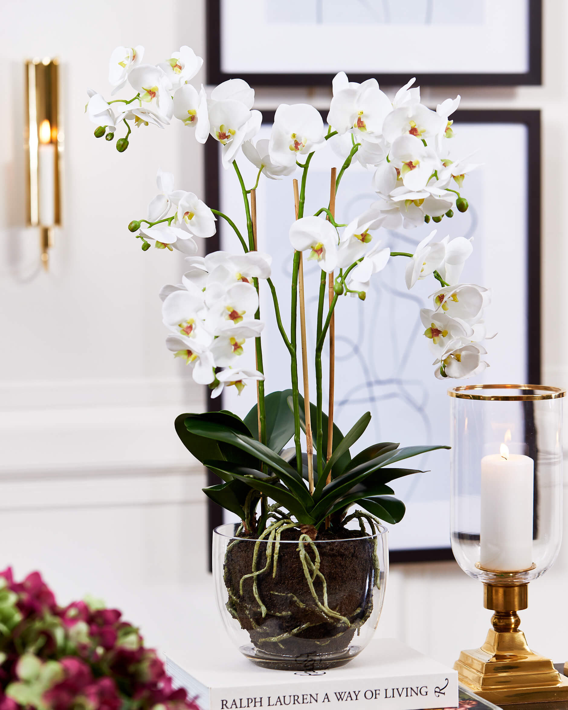 Orkidé krukväxt vit