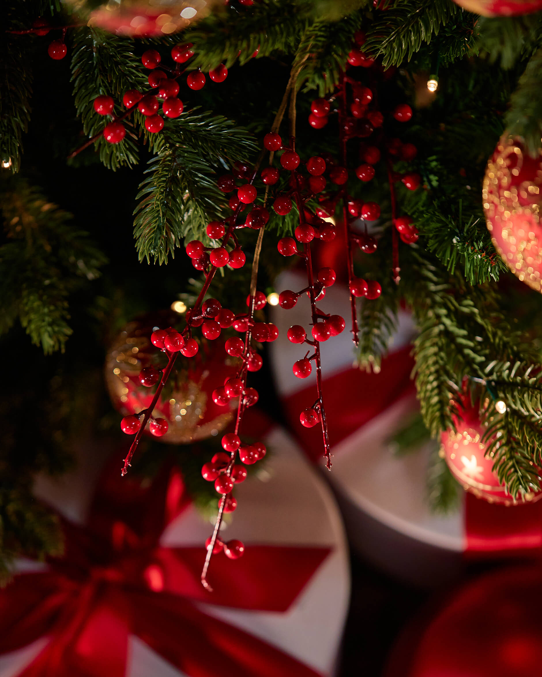 Ashby bärkvist röd