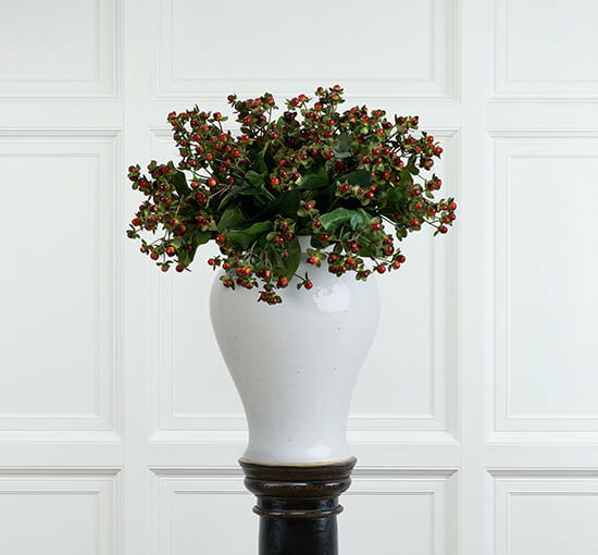 Red - Hypericum Cut Flower Creme