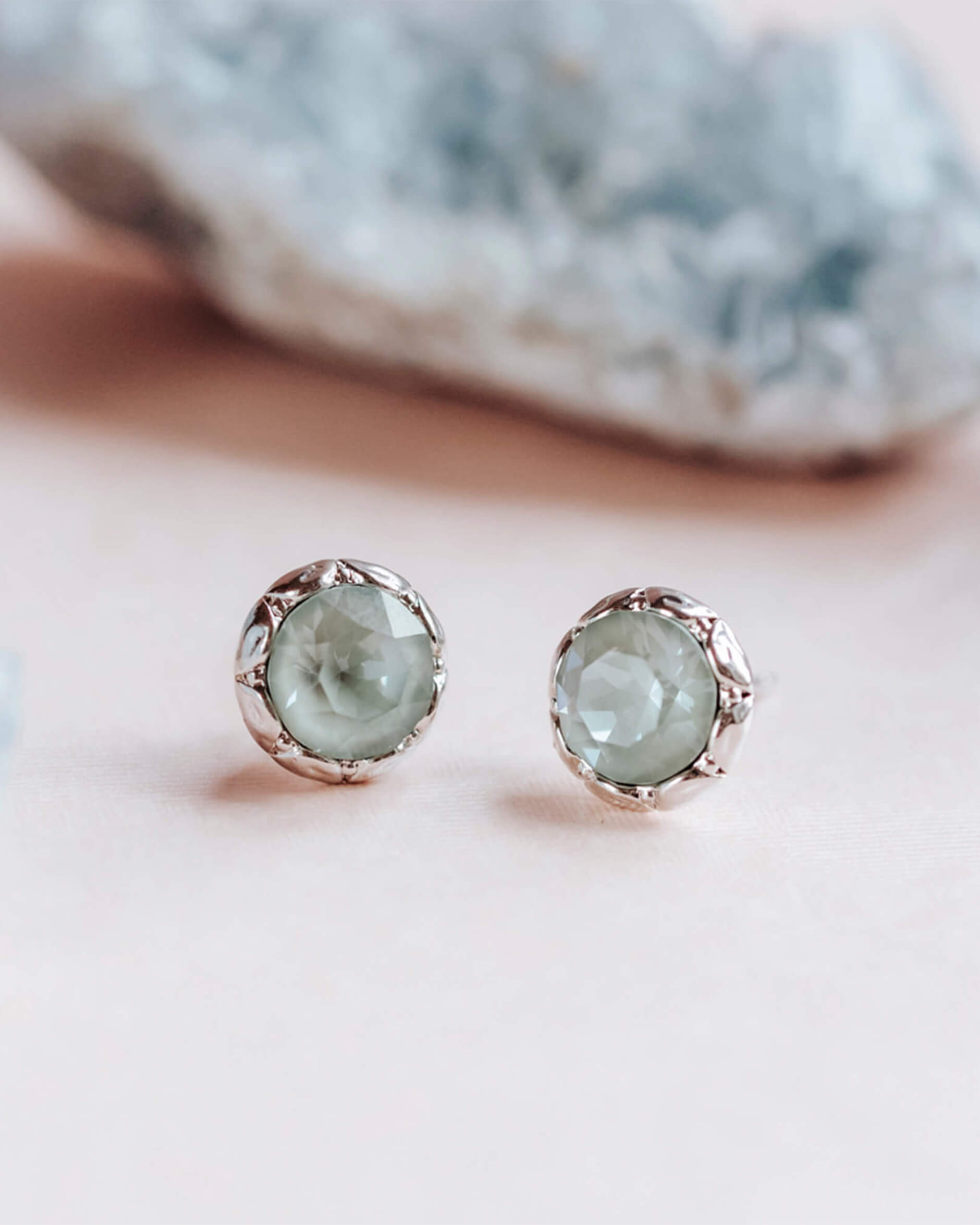 Miss Victoria korvakorut agave