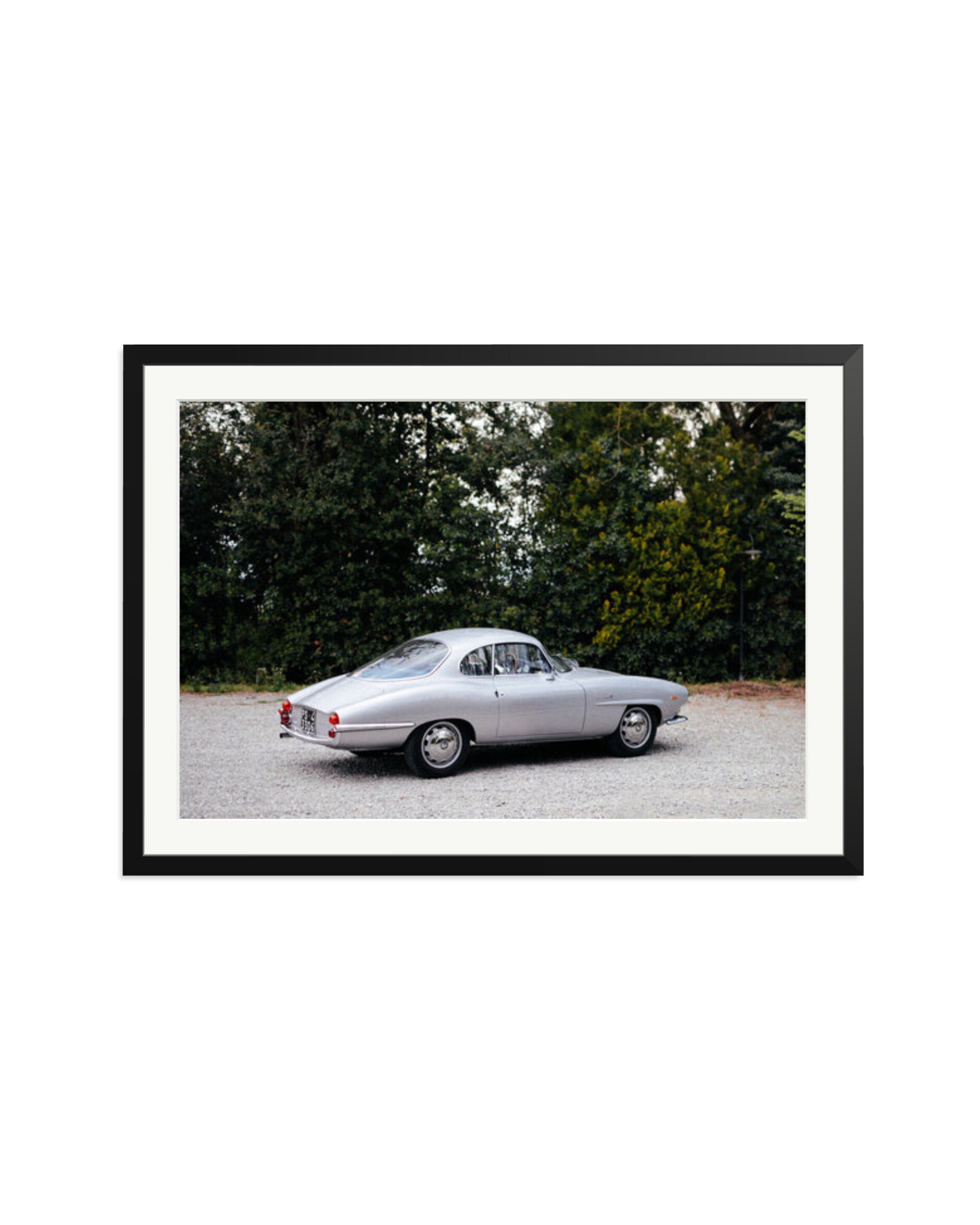 1964 Alfa Romeo Giulia SS Black / XXL