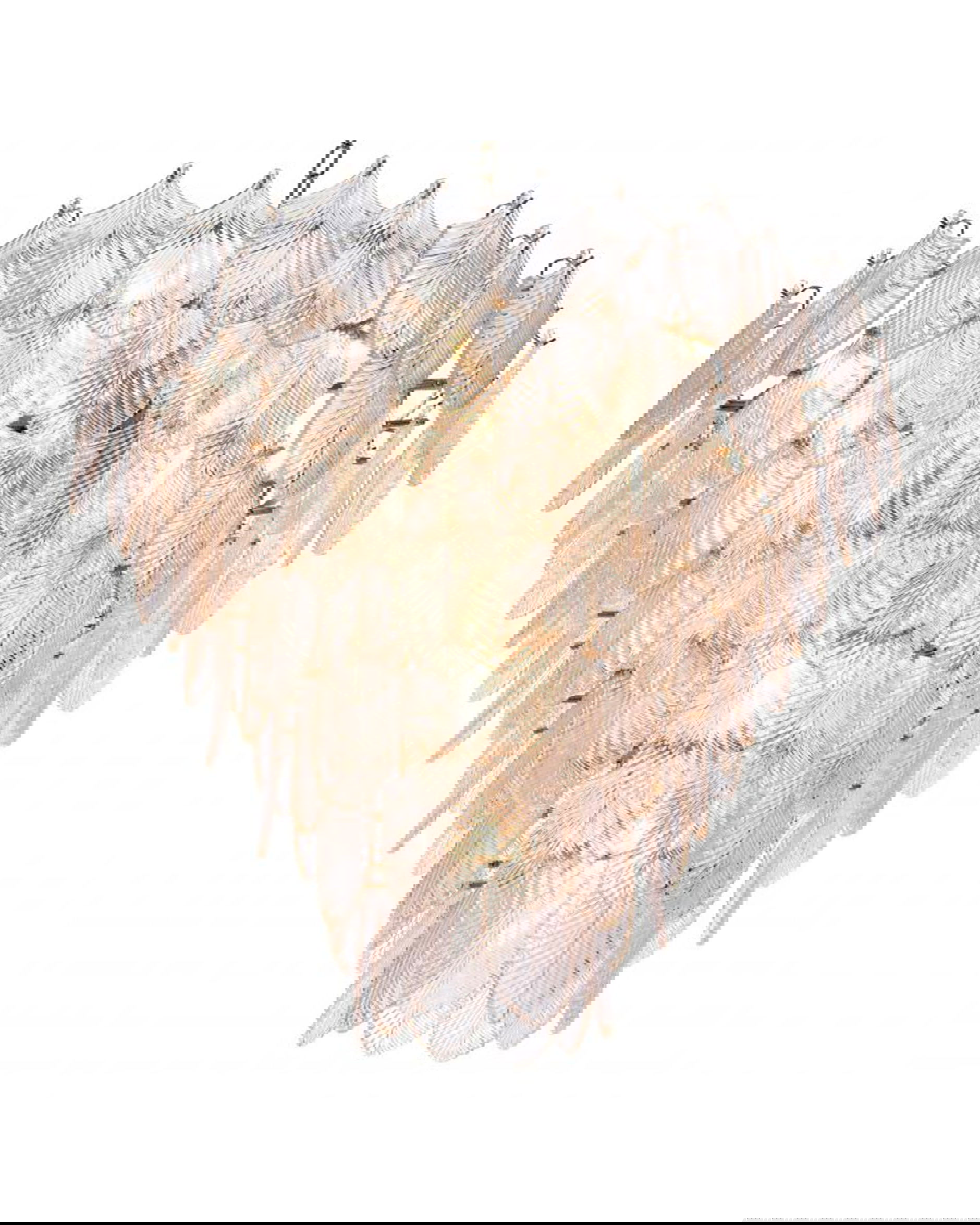 Verbier takkrona nickel