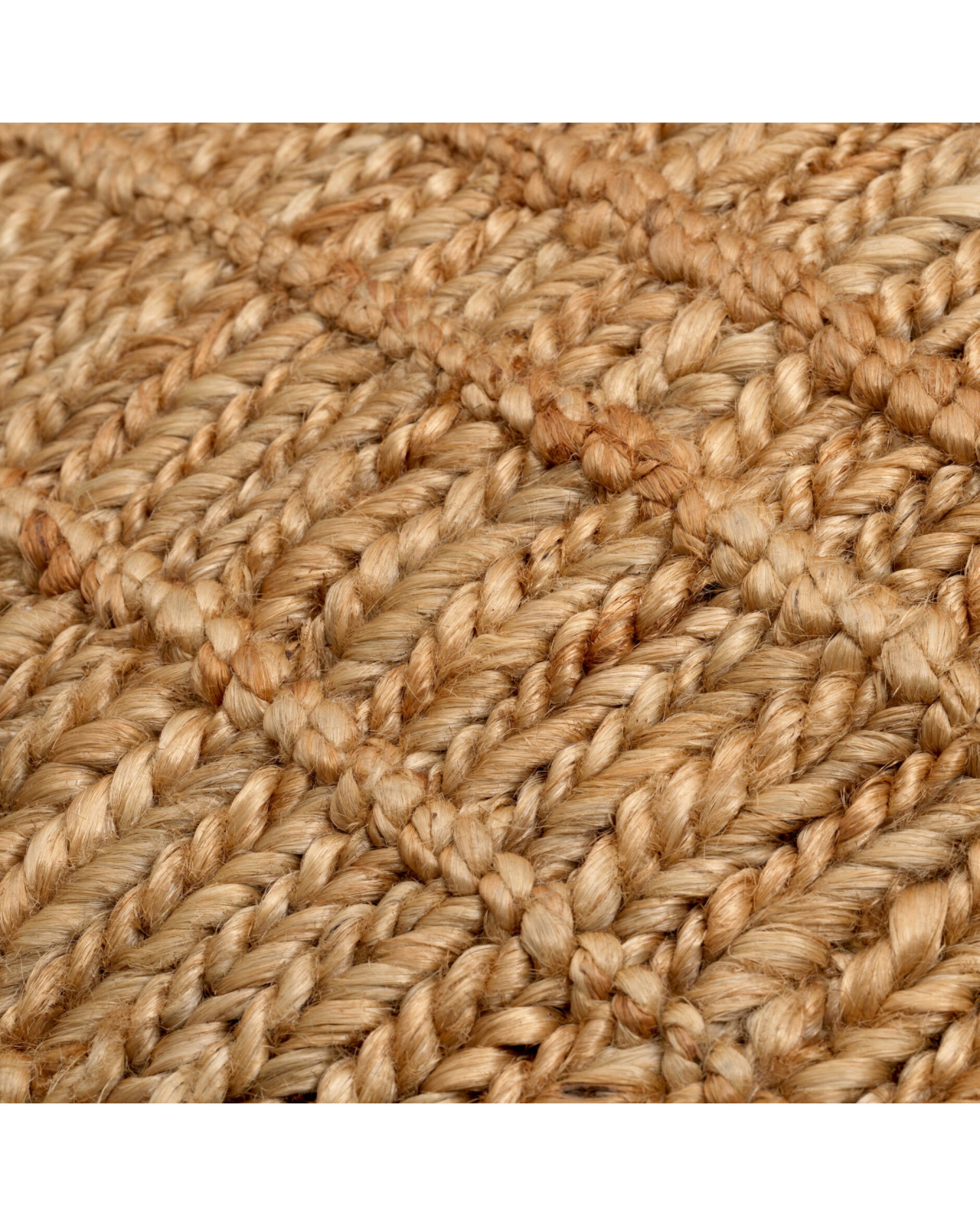 Palinuro kudde natur