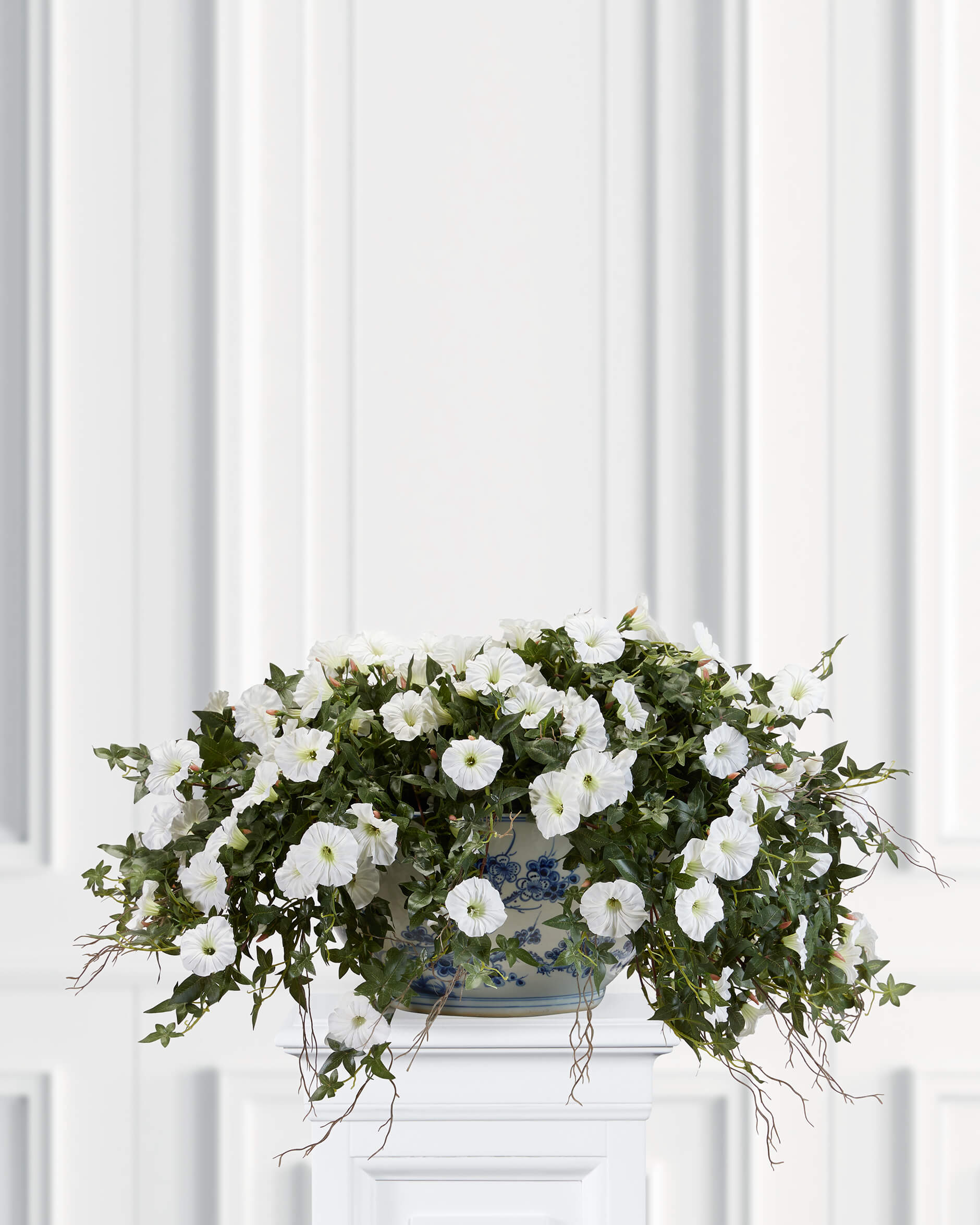 Blomma för dagen krukväxt vit