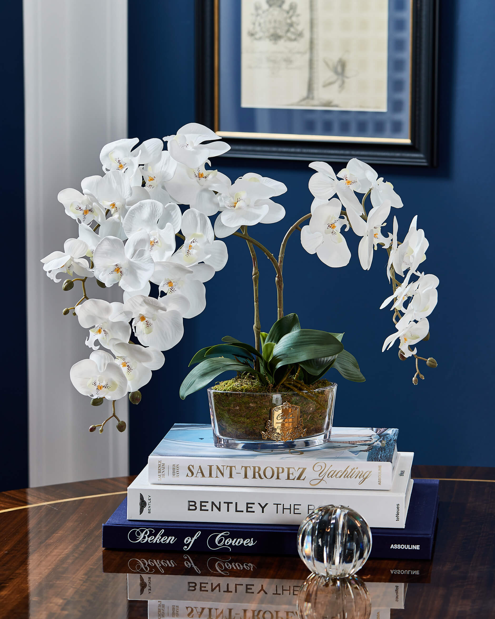 Orchidée Classique gåvoset