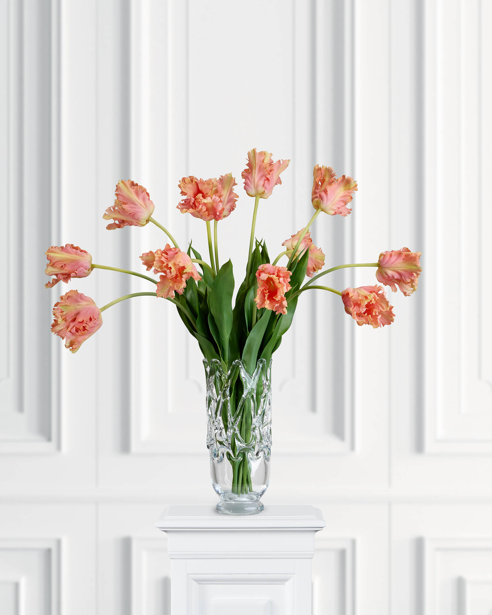 Papukaijatulppaani-leikkokukka, aprikoosi