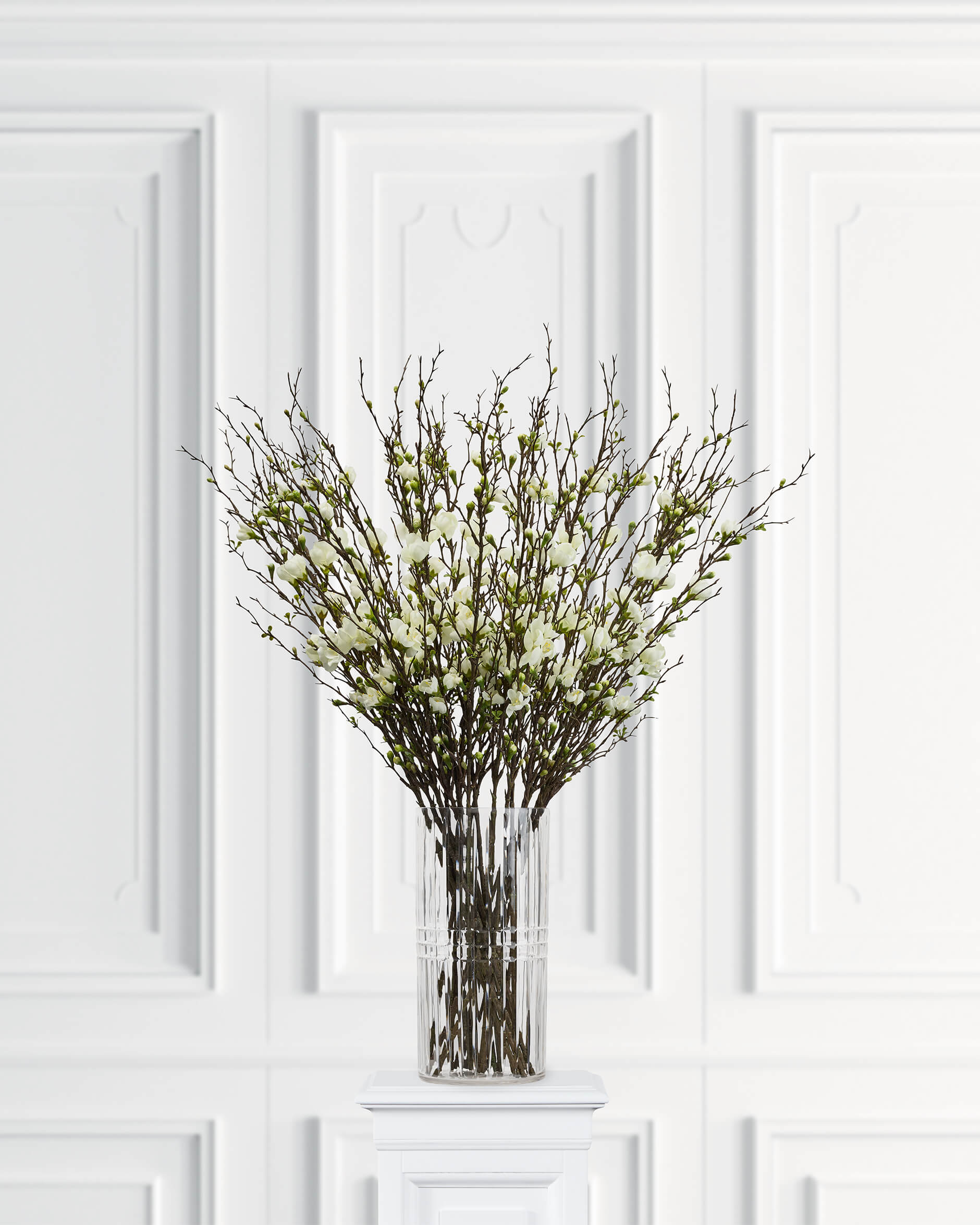 Apple Blossom Cut Flower White