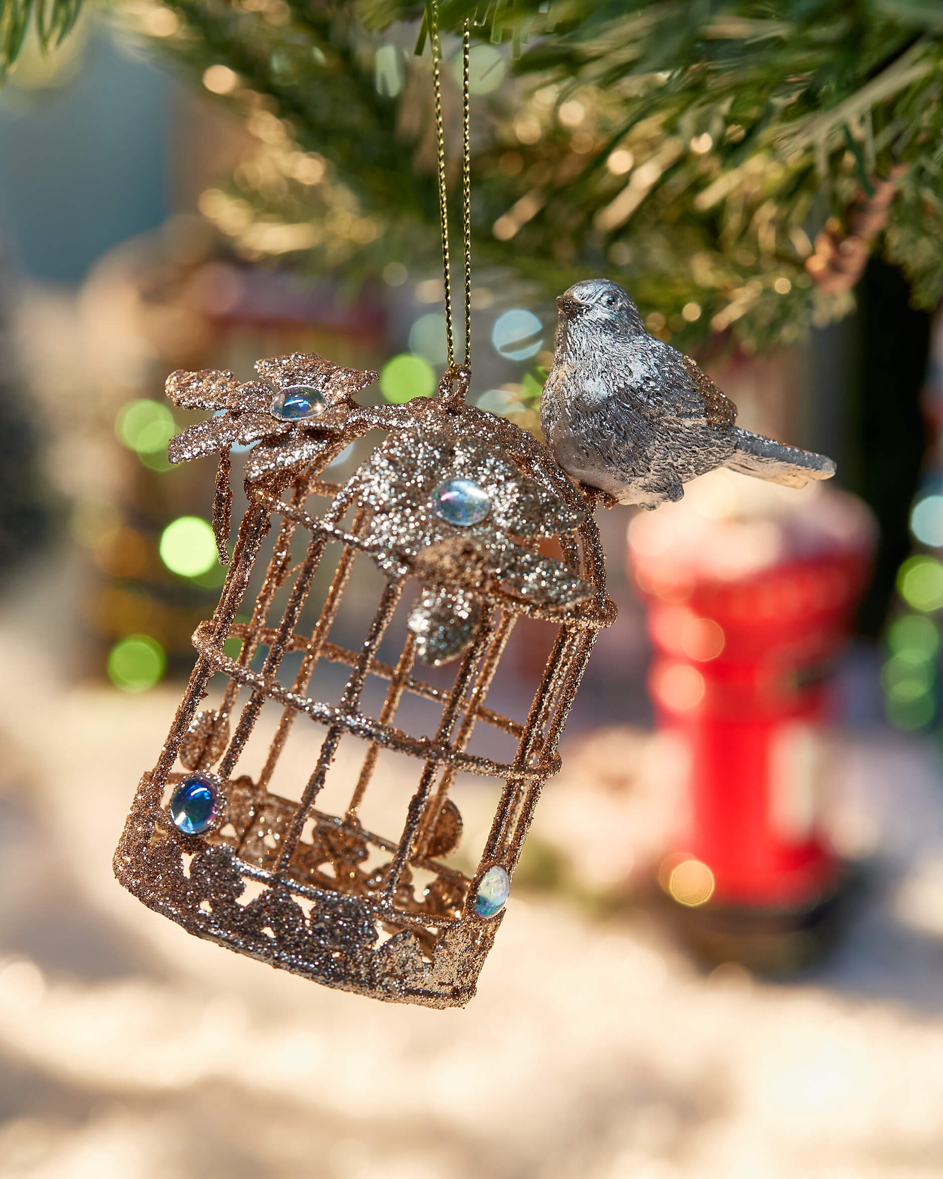 Hawksworth-kuusenkoriste, lintuhäkki samppanja