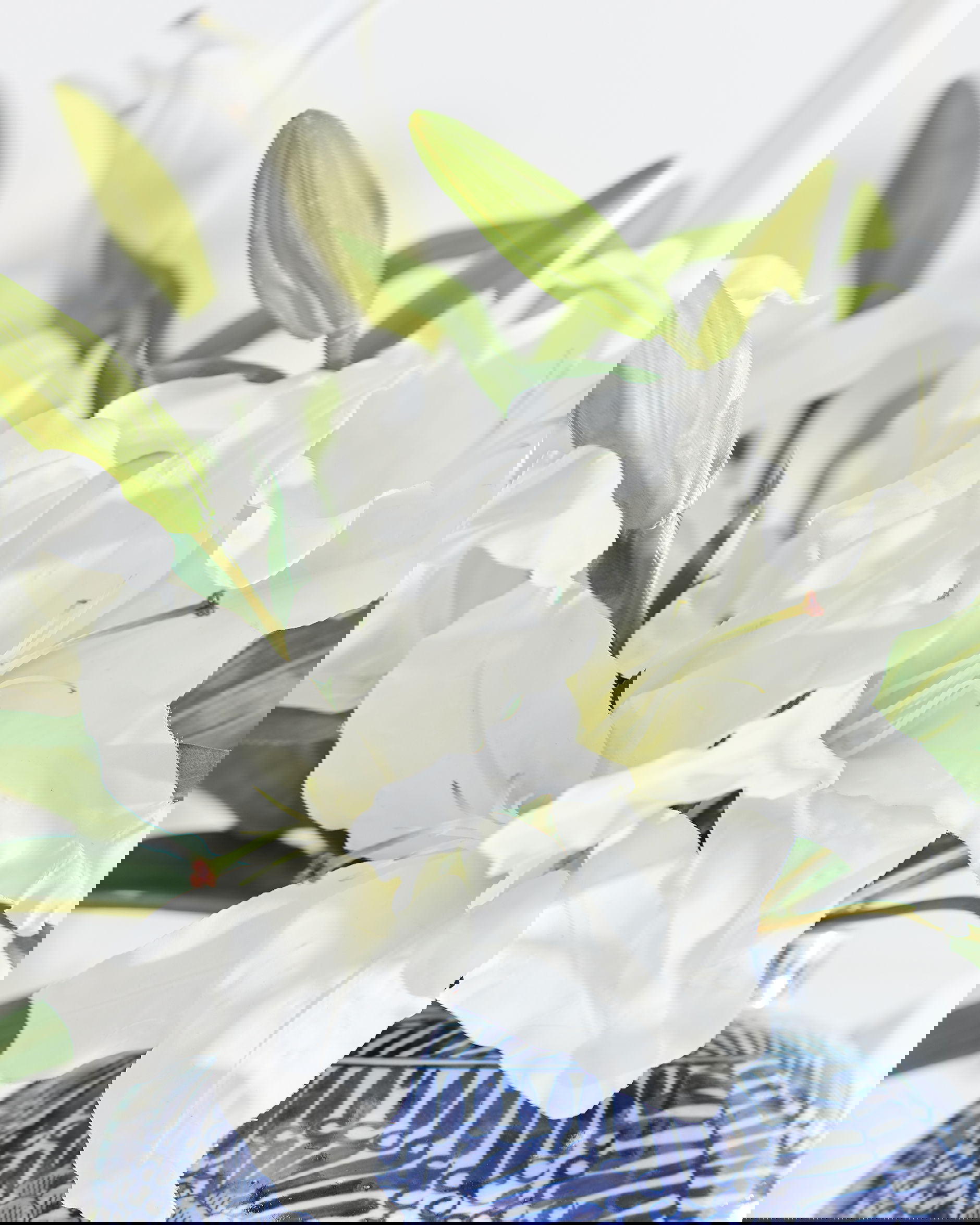 Lilja snittblomma vit