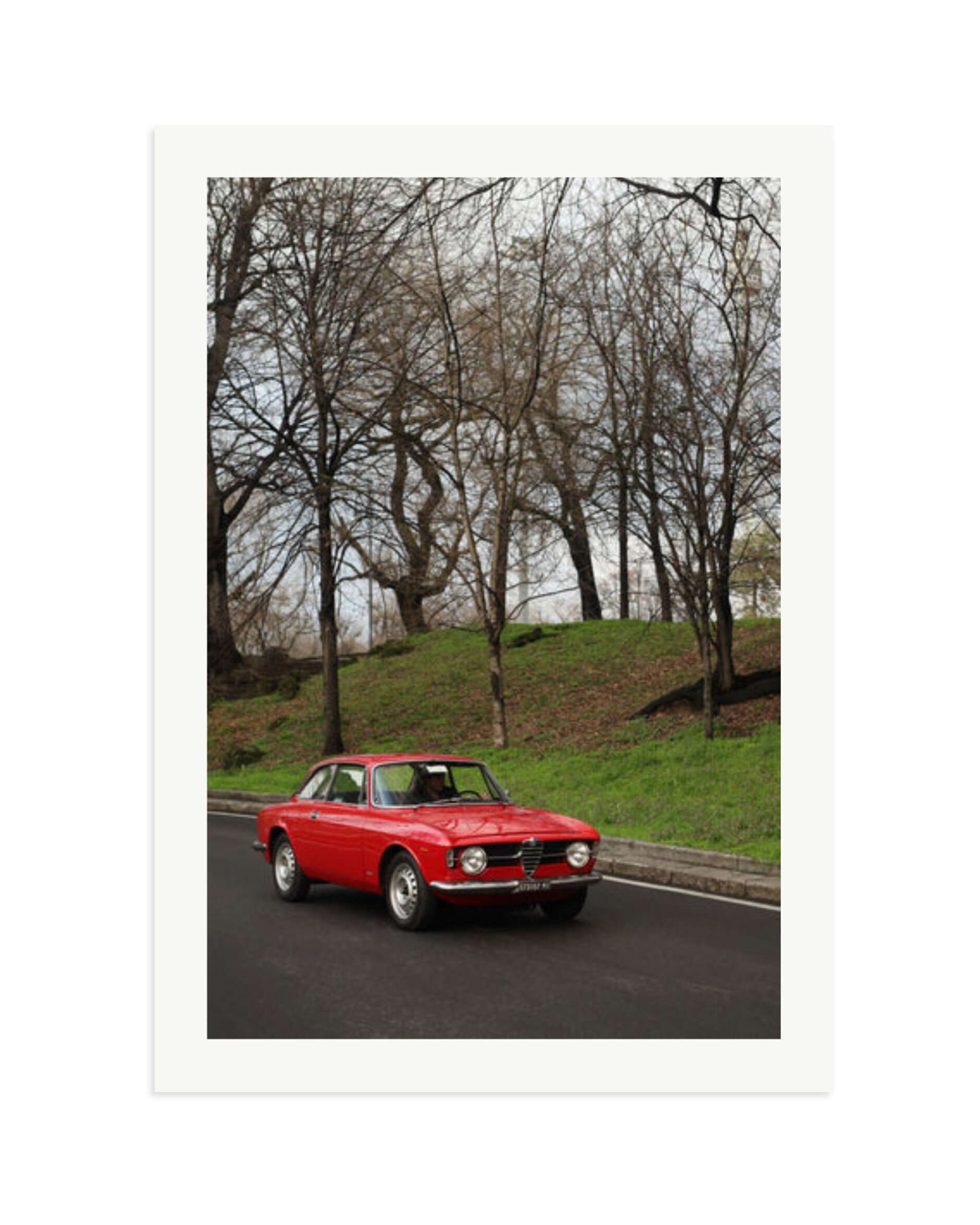 Alfa Romeo GT 1300 Junior Print Only / XXL