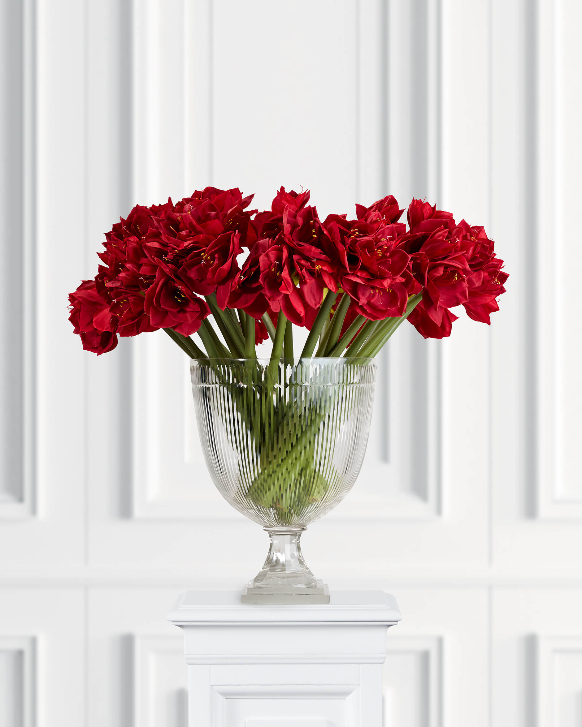 Amaryllis snittblomma röd