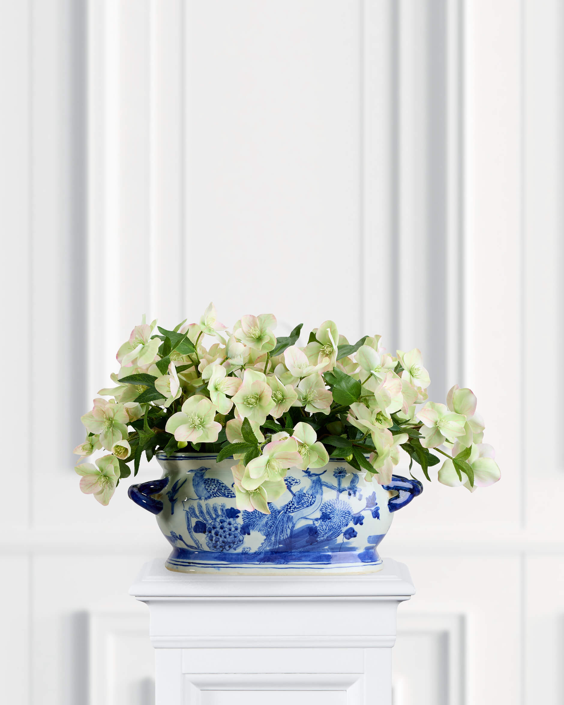 Julros konstväxt vit